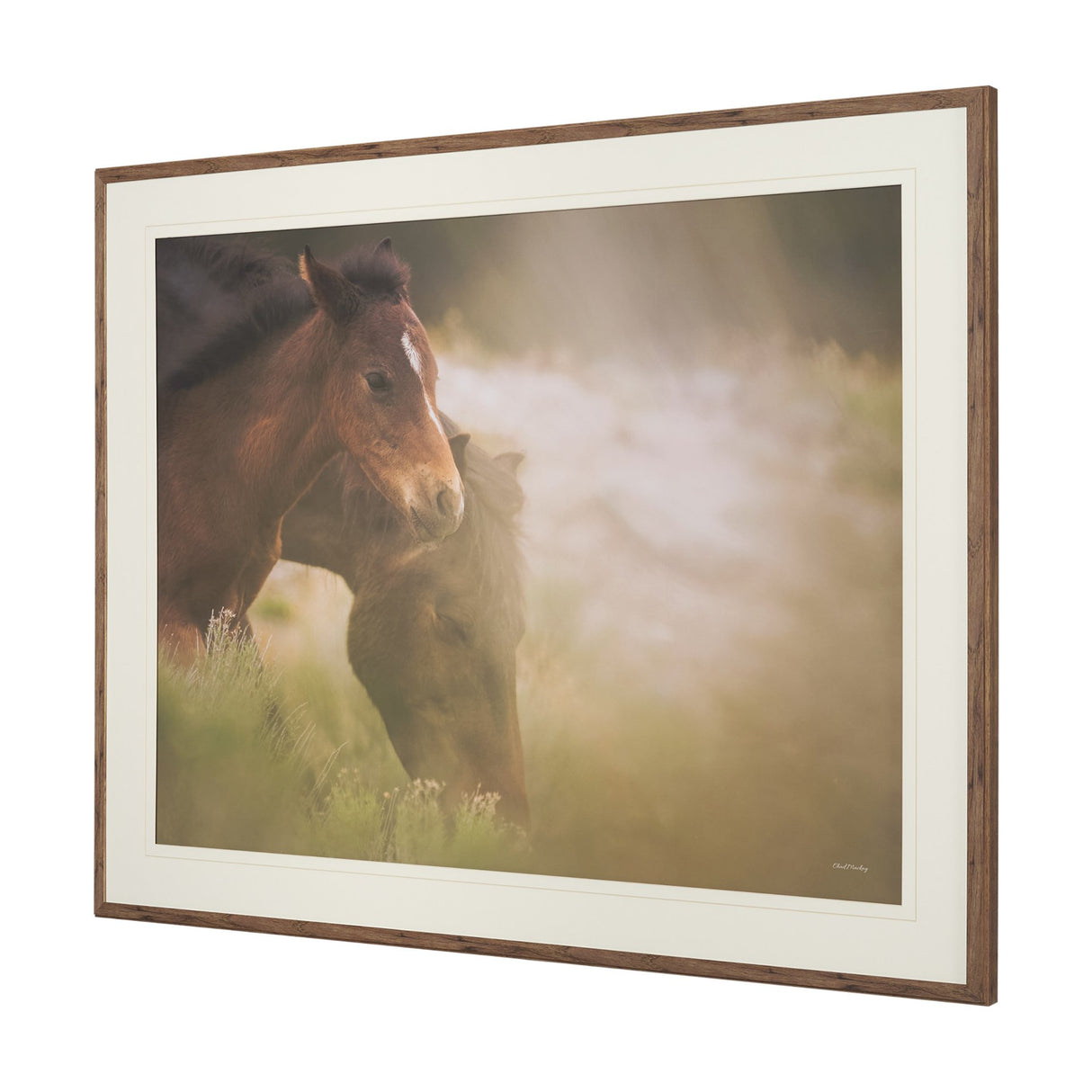 Magic by Chad Mackay FramedPhoto Print Matted under Glass from Mercana - Luna Furniture