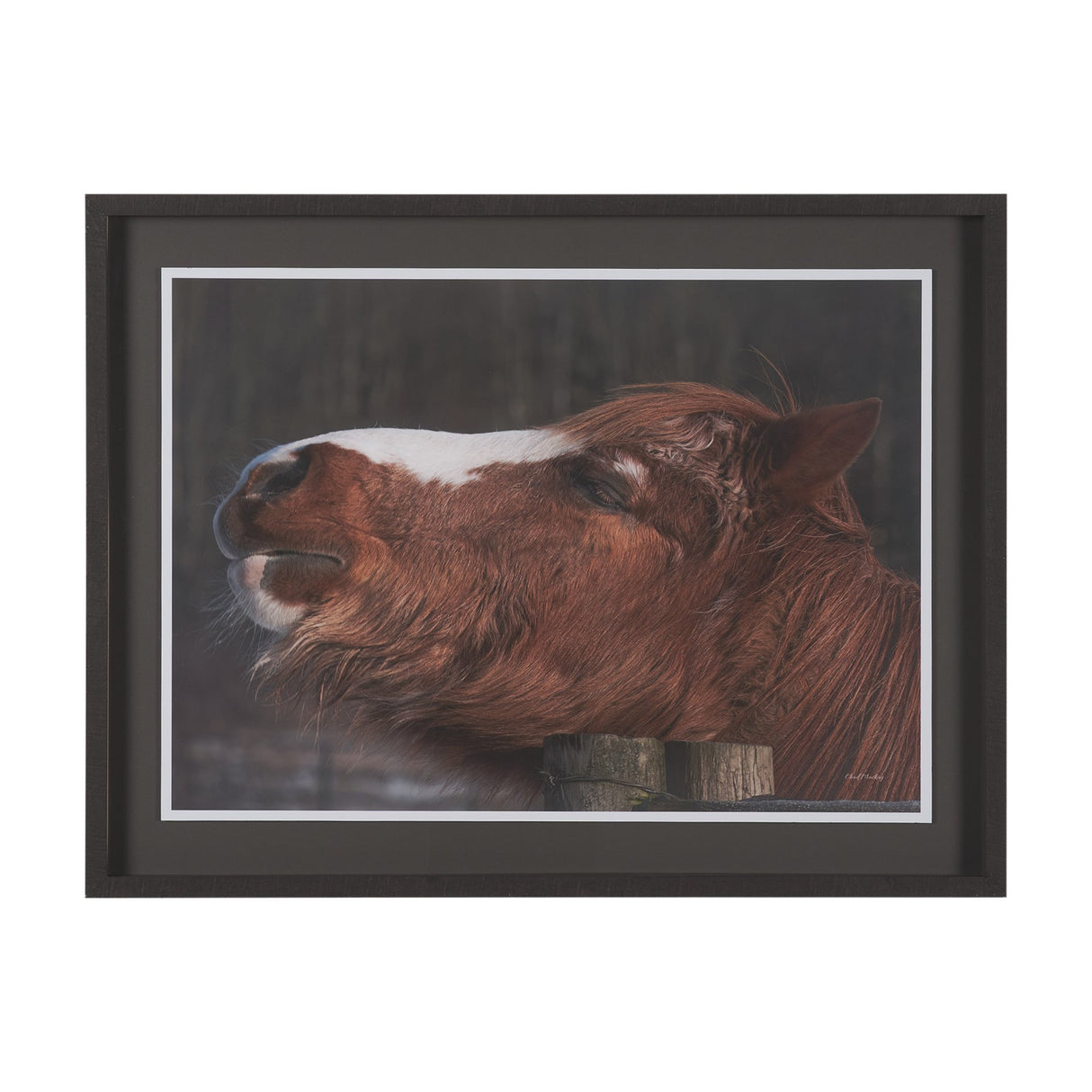 Hay over Here. by Chad Mackay FramedPhoto Print Matted under Glass from Mercana - Luna Furniture