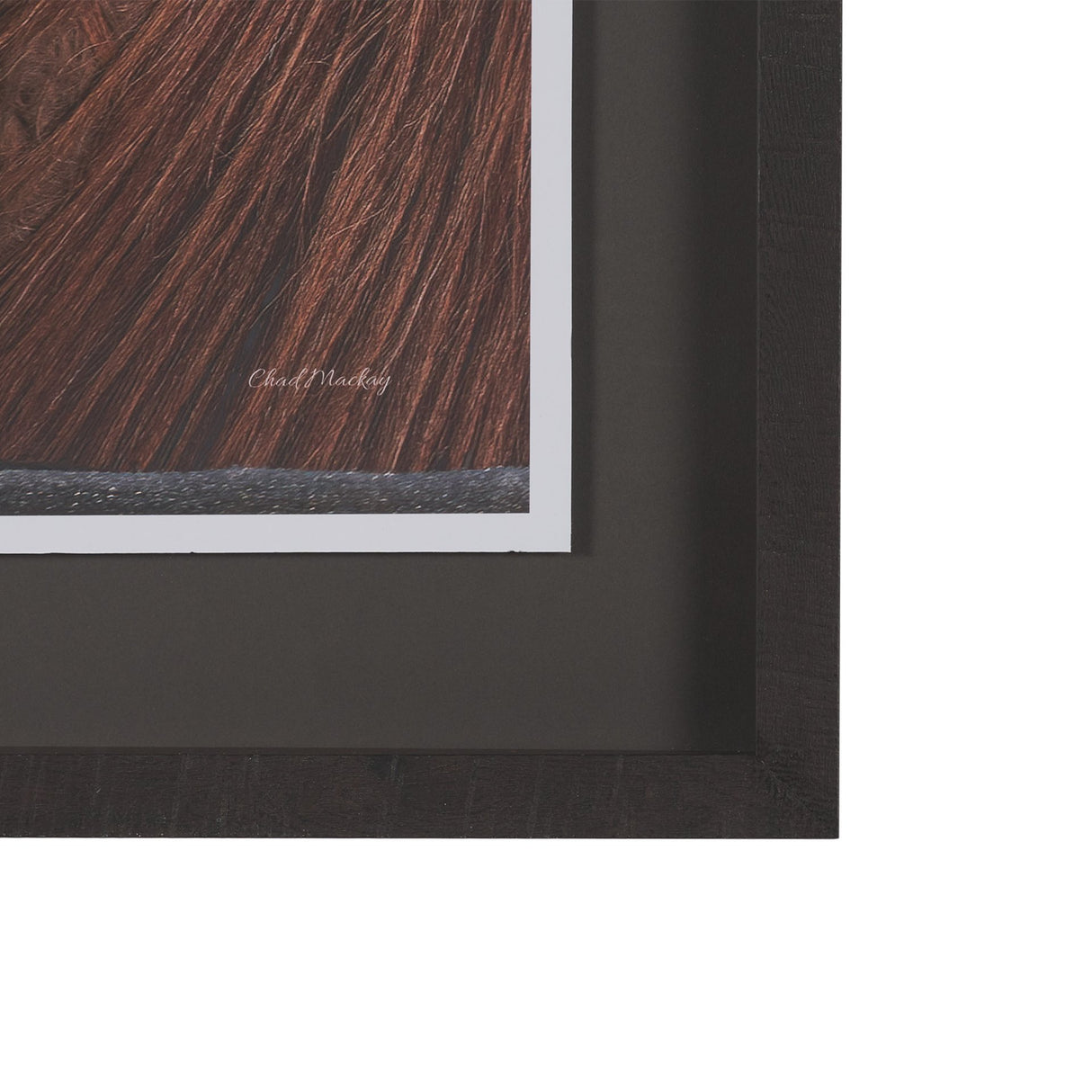 Hay over Here. by Chad Mackay FramedPhoto Print Matted under Glass from Mercana - Luna Furniture