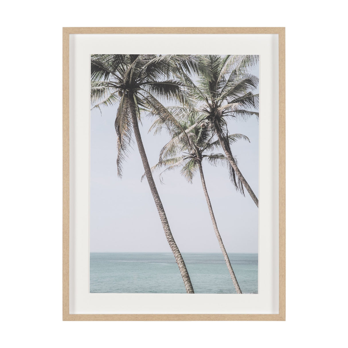 Ocean Breeze Palms by Shot By Clint Framed Photo Print Matted under Glass from Mercana - Luna Furniture