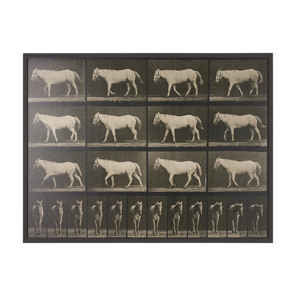 Walking Free by Eadweard Muybridge Textured Framed CanvasPhoto Print