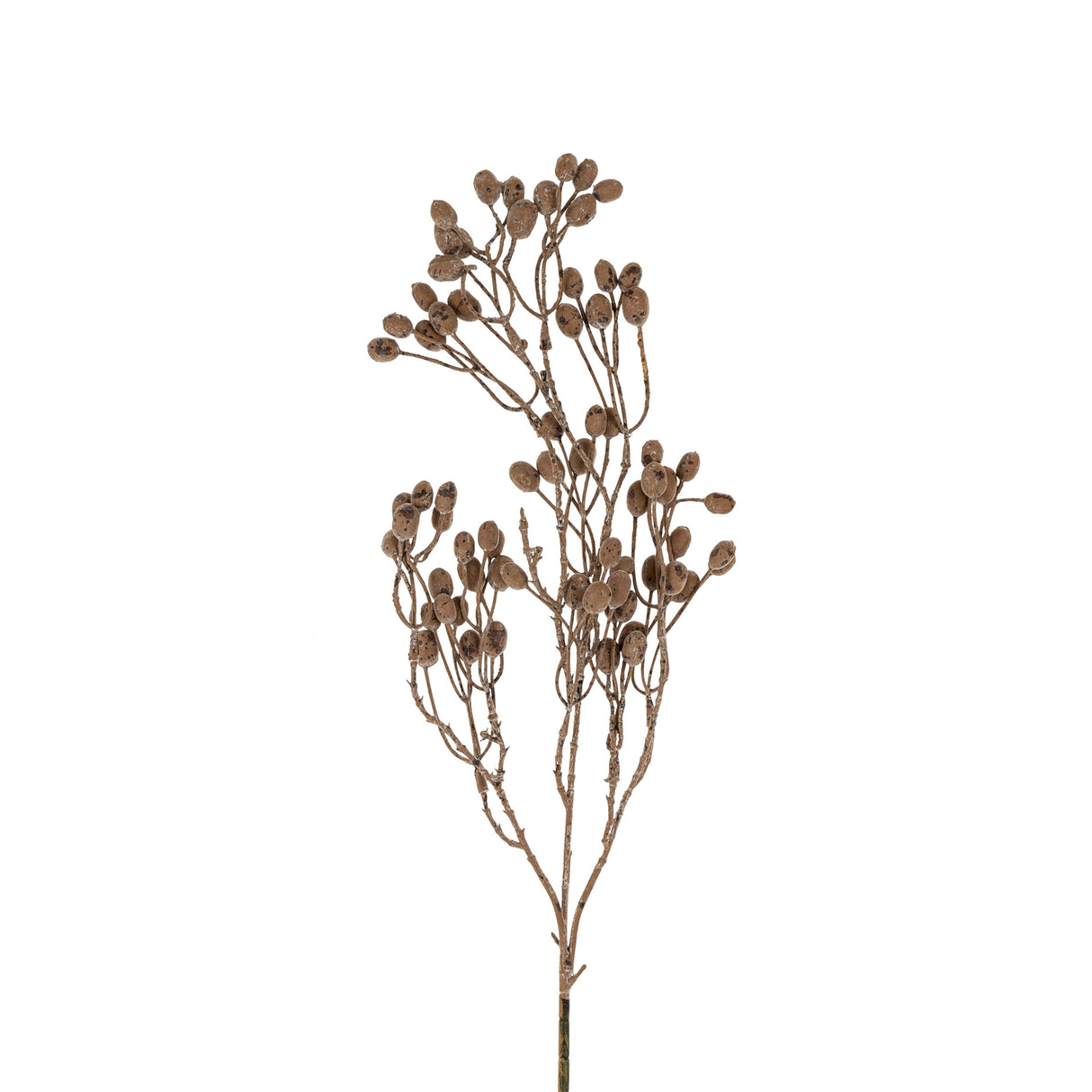 Dripping Dried Berry Branch, Set of 12 from Mercana - Luna Furniture