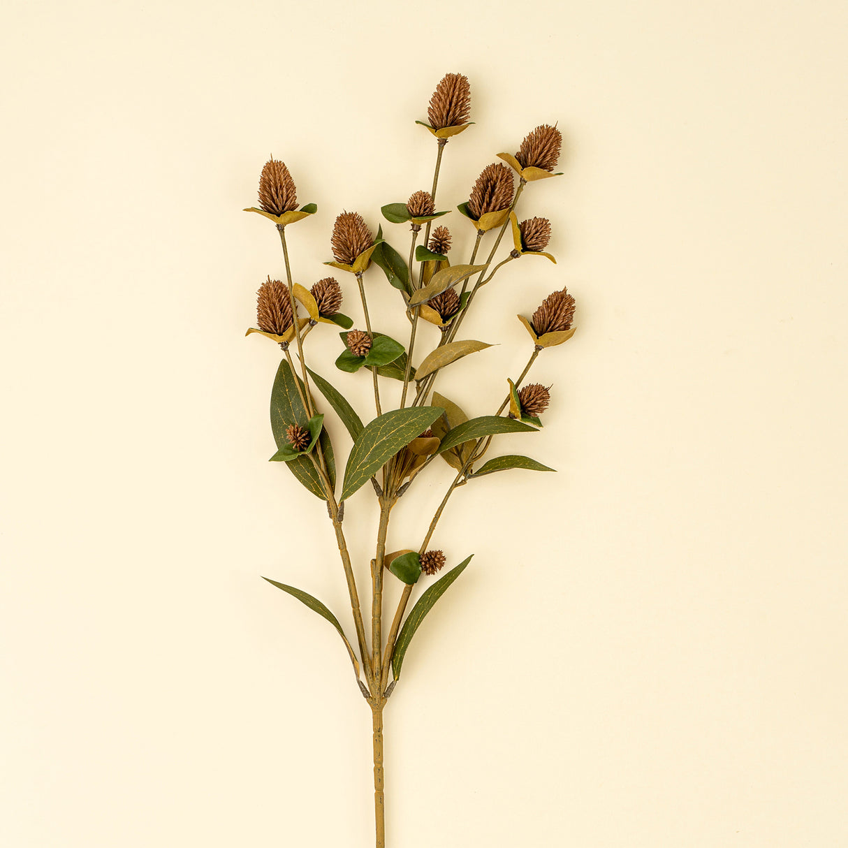 Globe Amaranth Spray, Set of 24 from Mercana - Luna Furniture
