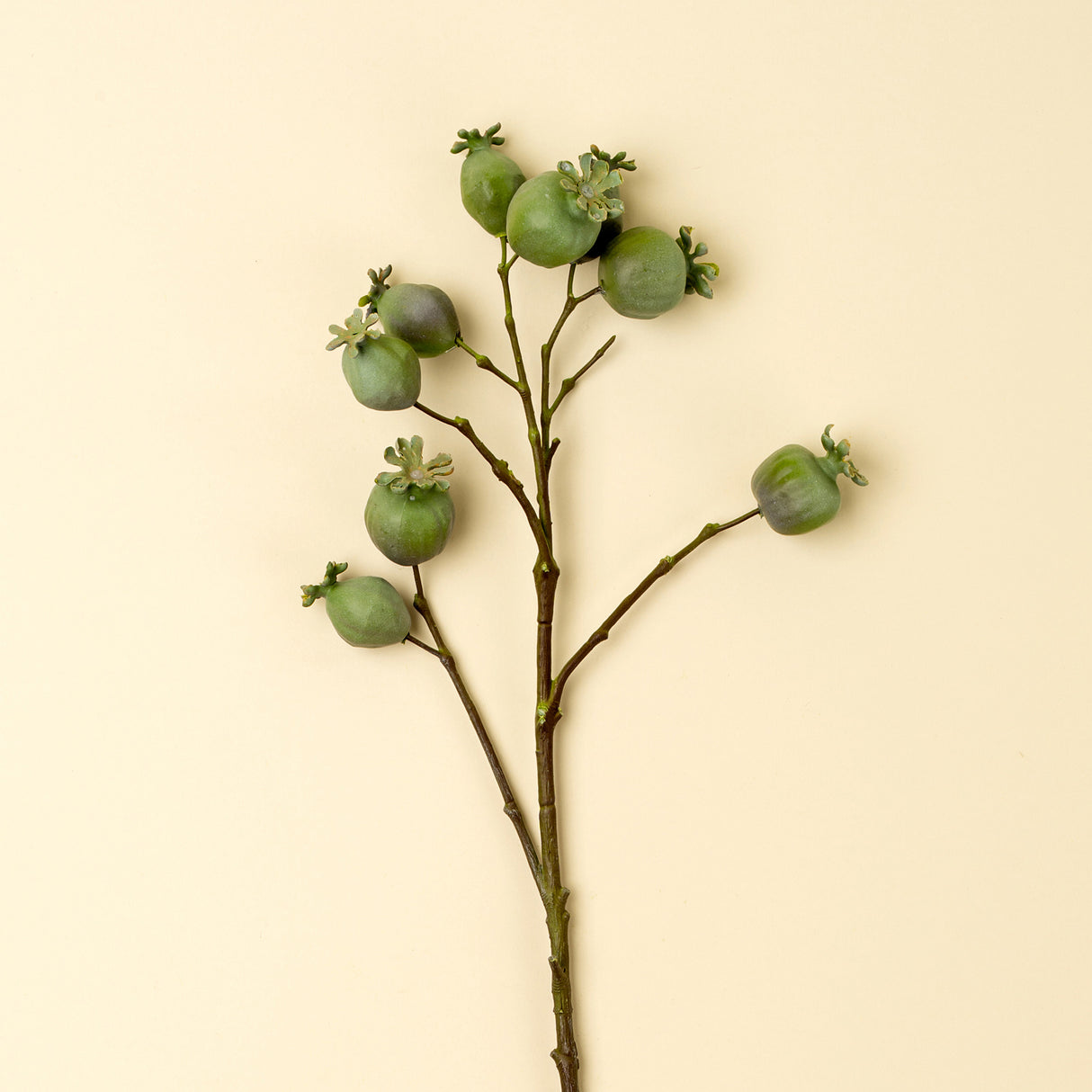 Poppy Pod Branch, Set of 24 from Mercana - Luna Furniture