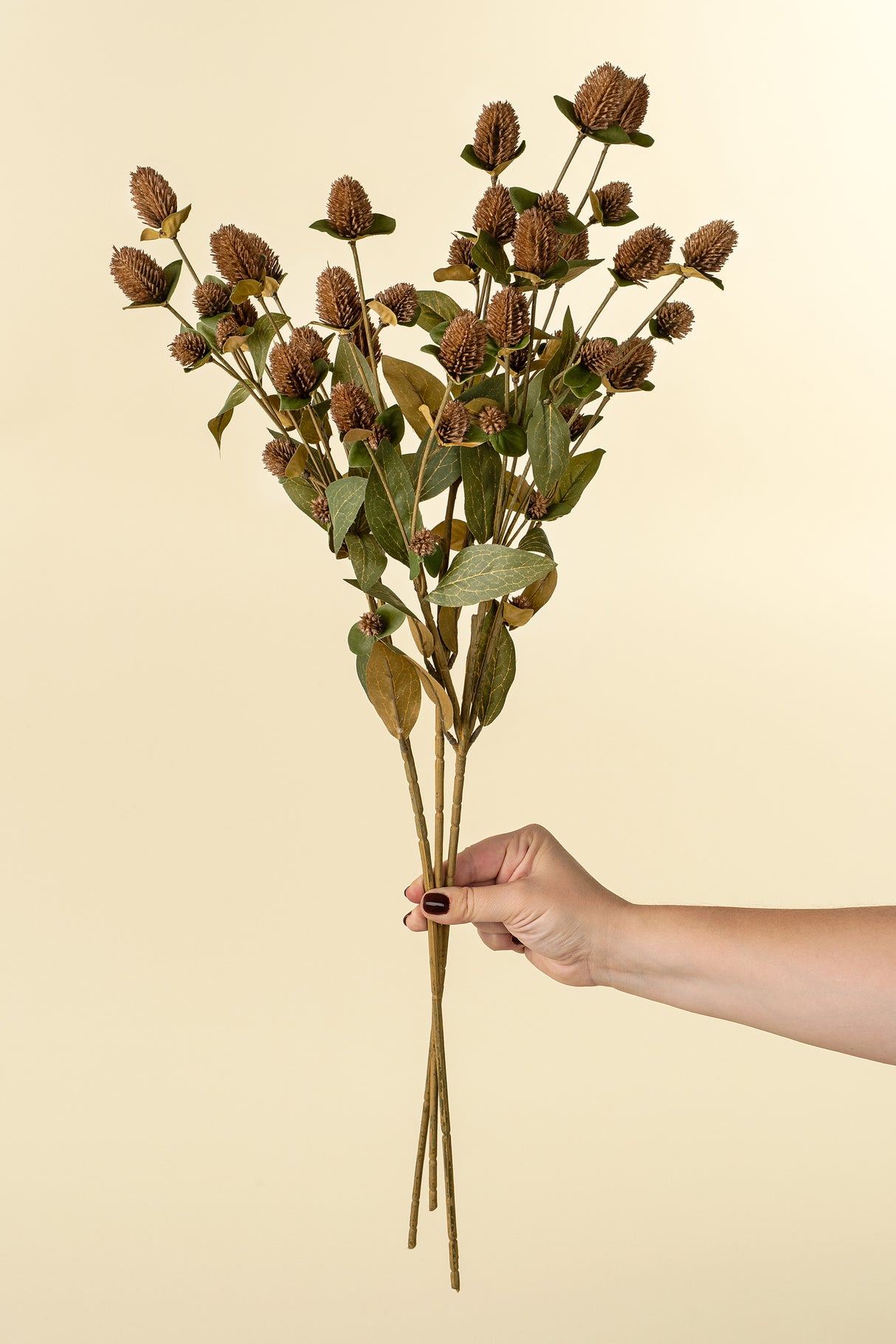 Globe Amaranth Spray, Set of 24 from Mercana - Luna Furniture