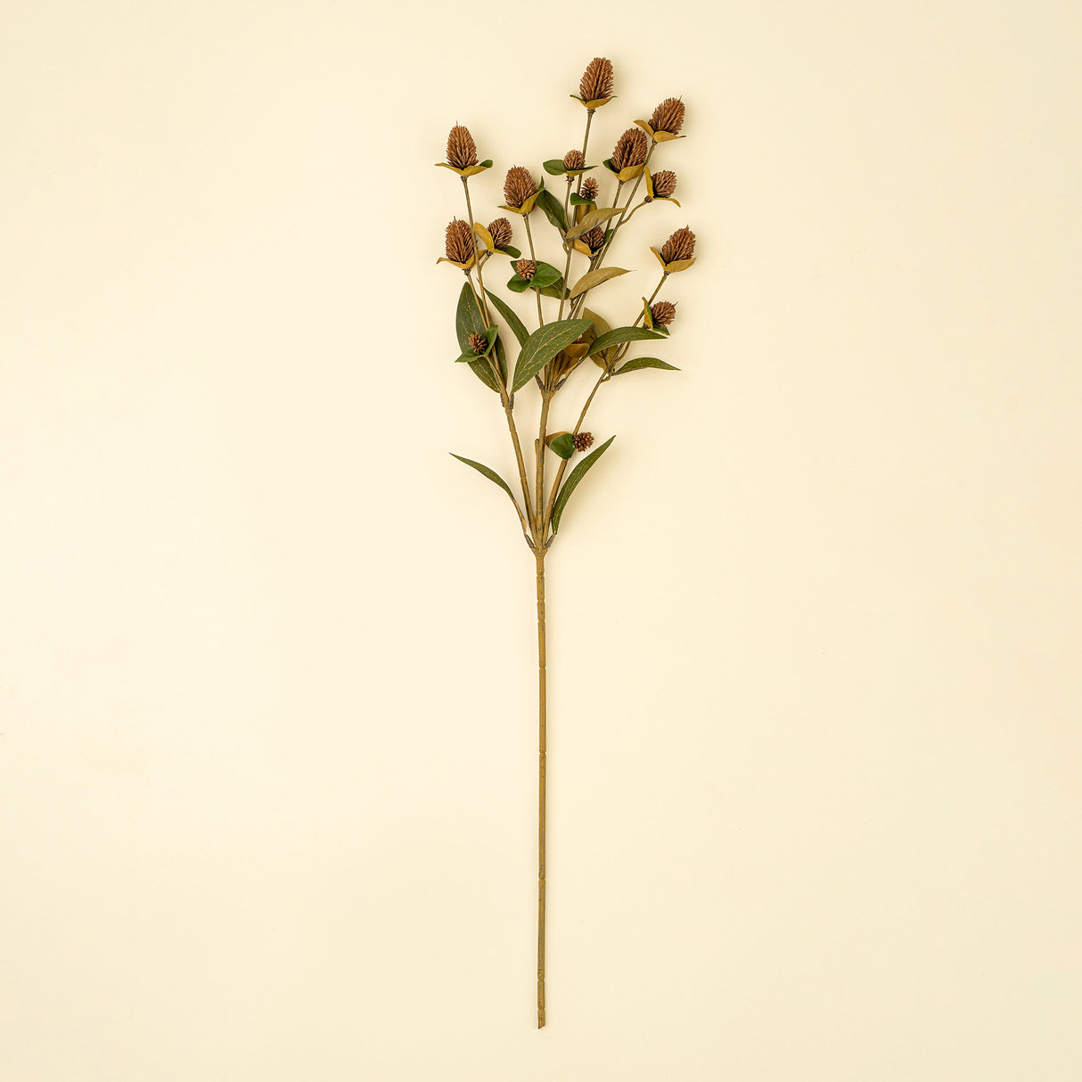 Globe Amaranth Spray, Set of 24 from Mercana - Luna Furniture
