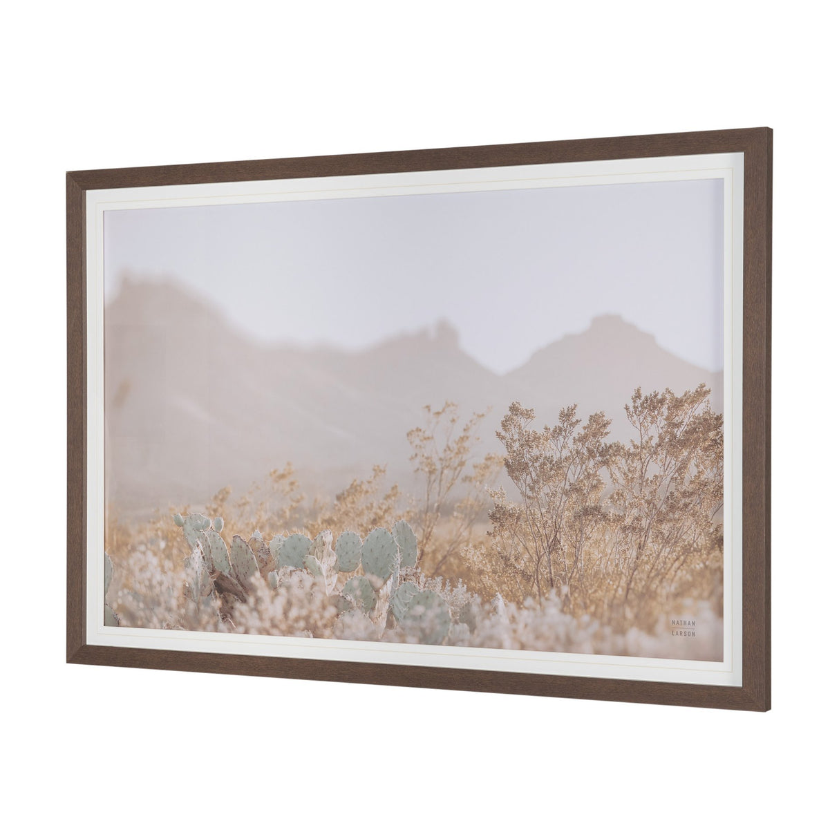 Big Bend National Park by Nathan Larson FramedPhoto Print Matted Under Glass from Mercana - Luna Furniture
