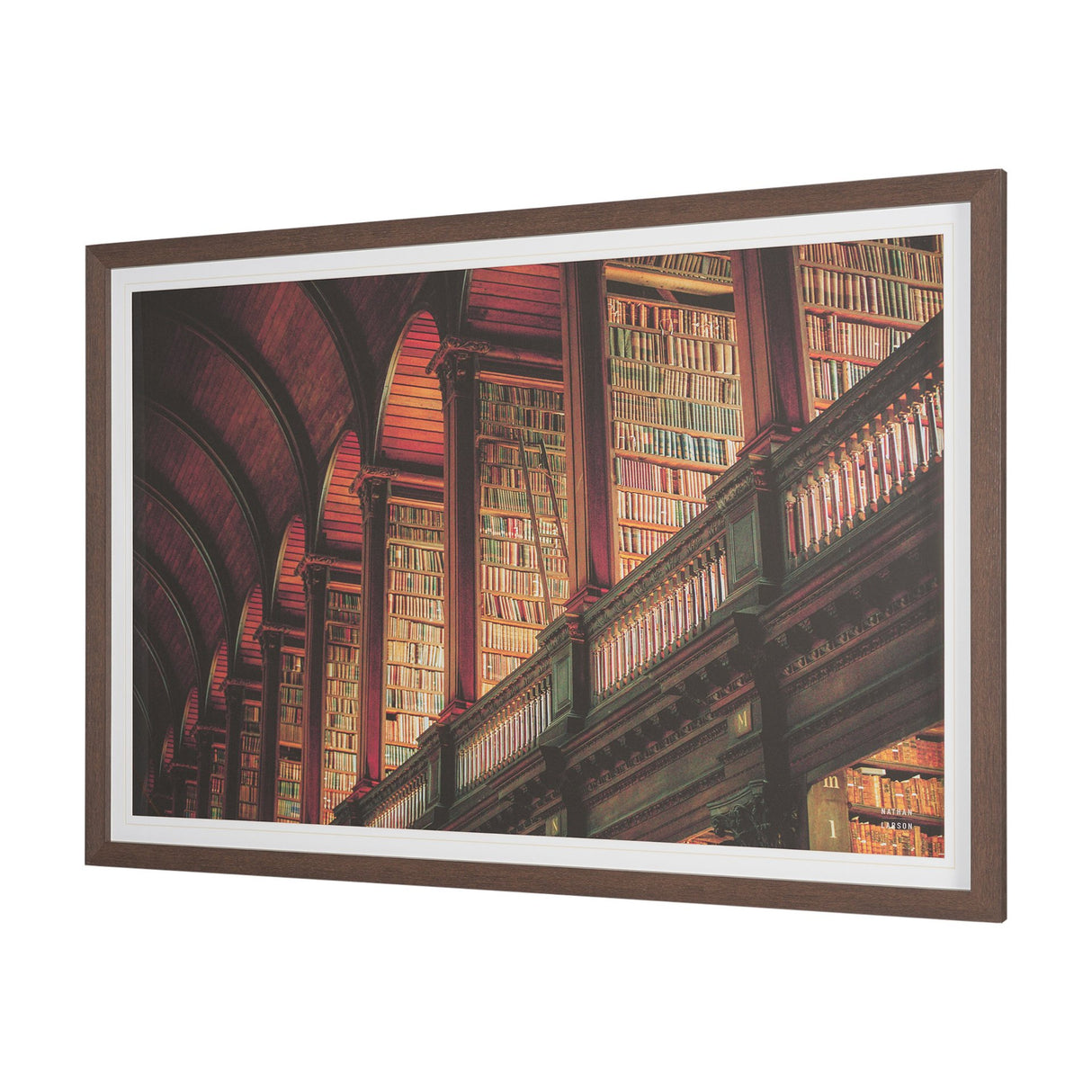 Trinity Library III by Nathan Larson FramedPhoto Print Matted under Glass from Mercana - Luna Furniture