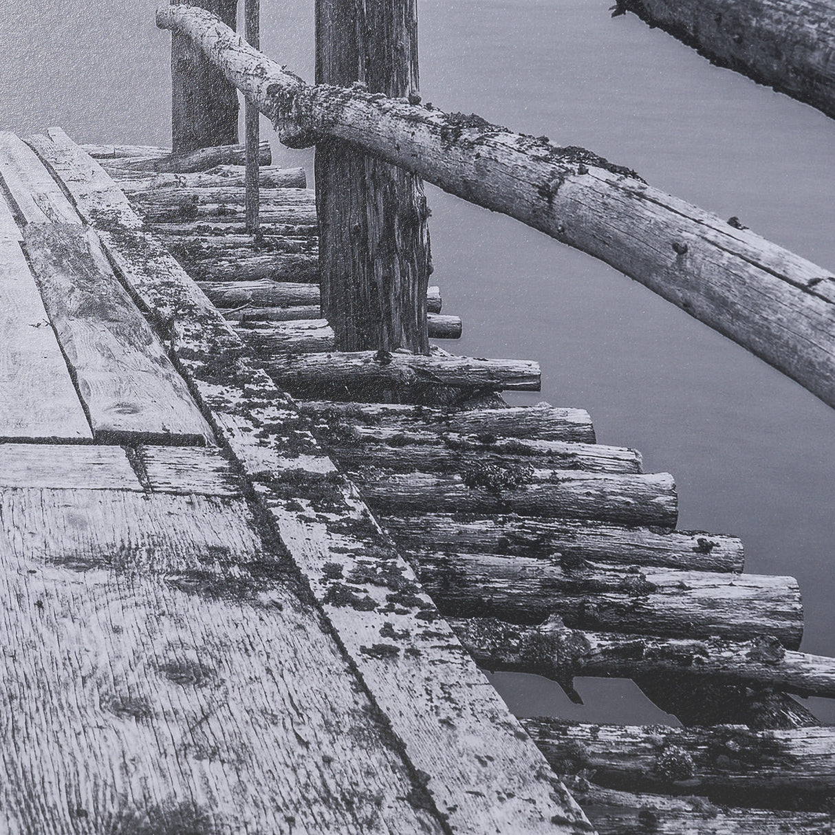 Where Water Waits by Chad Mackay Textured FramedPhoto Print Matted under Glass from Mercana - Luna Furniture
