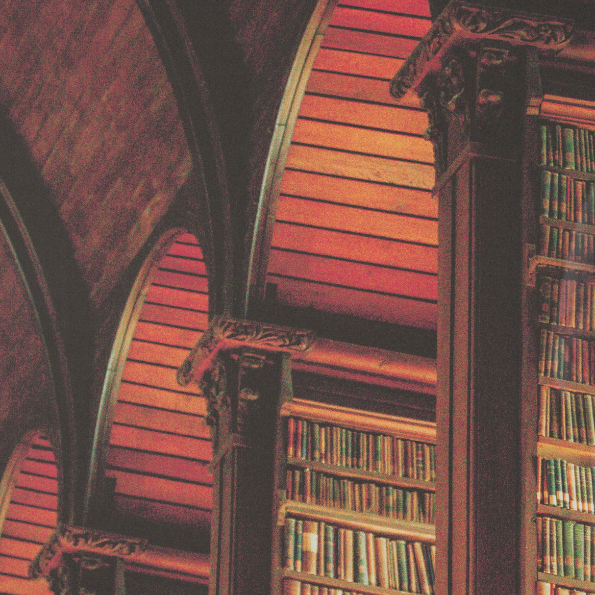 Trinity Library III by Nathan Larson FramedPhoto Print Matted under Glass from Mercana - Luna Furniture