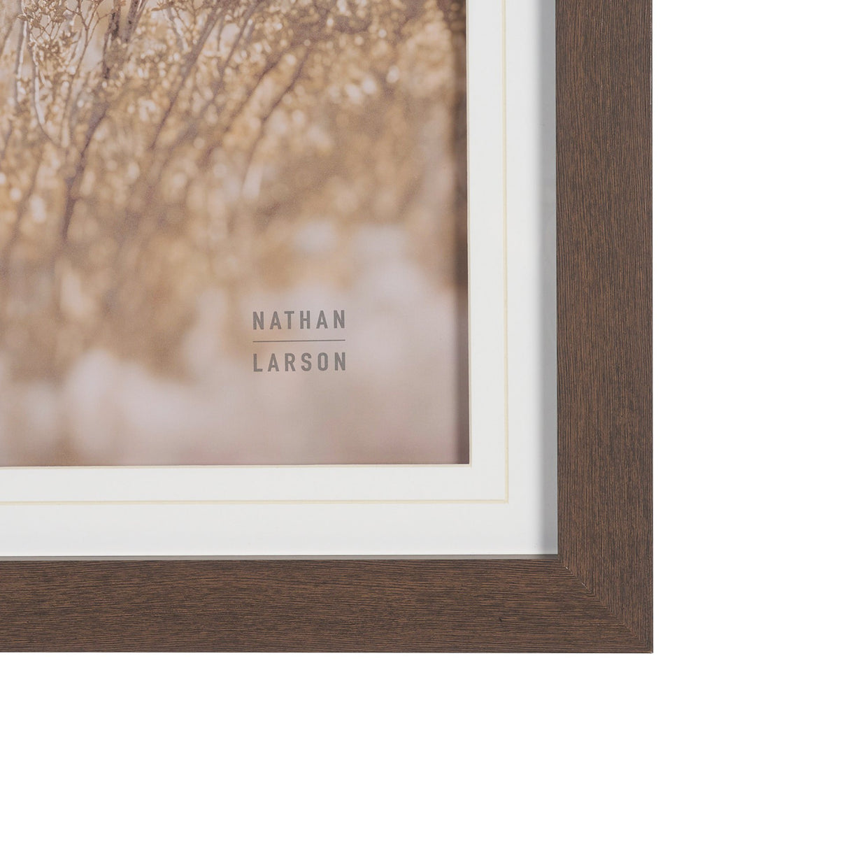 Big Bend National Park by Nathan Larson FramedPhoto Print Matted Under Glass from Mercana - Luna Furniture