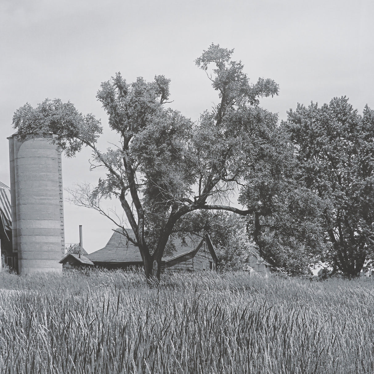 Farm Serenity I by Leda Robertson Textured FramedPhoto Print Matted under Glass from Mercana - Luna Furniture