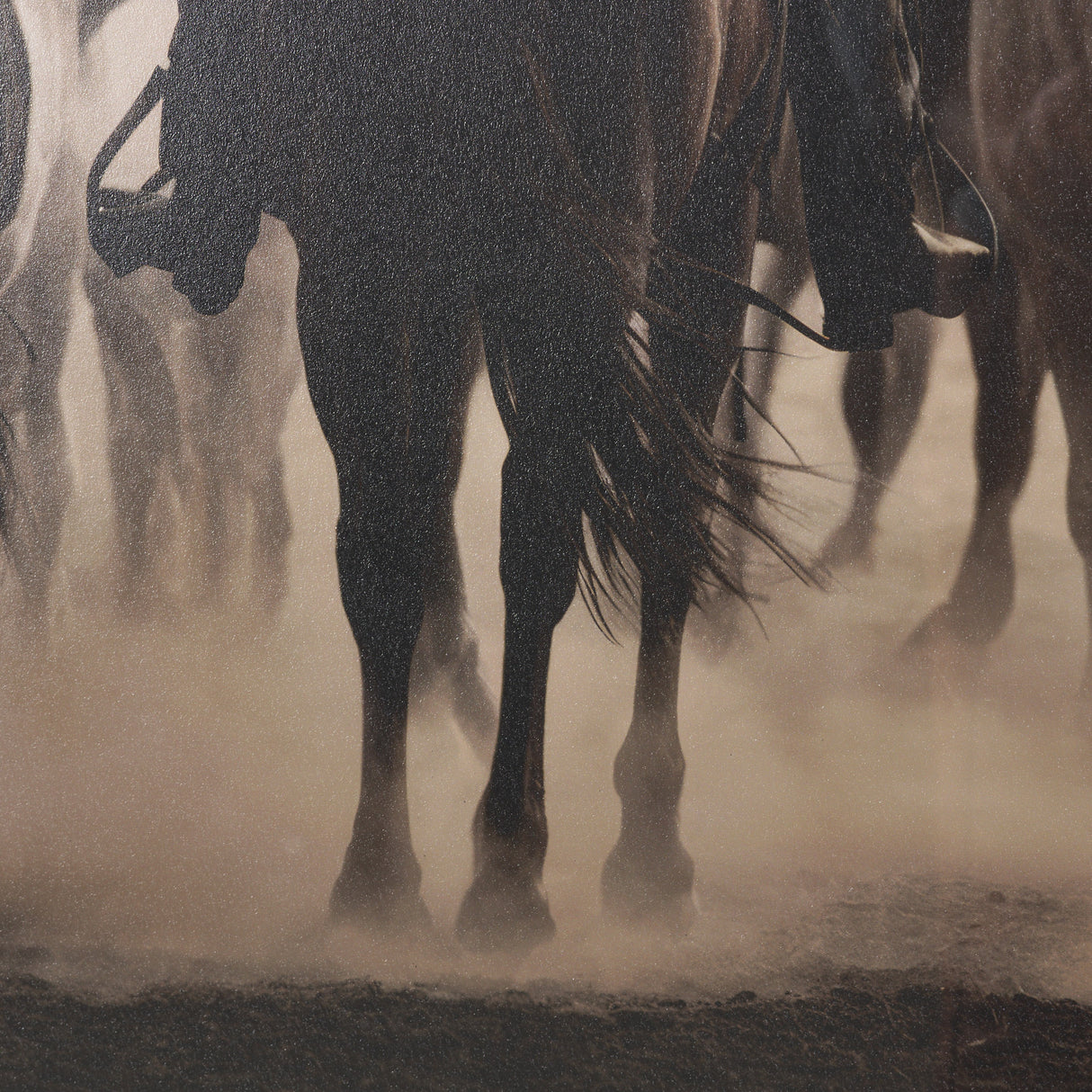 Western Horse Drive by Andreas Magnusson Textured FramedPhoto Print Matted under Glass from Mercana - Luna Furniture