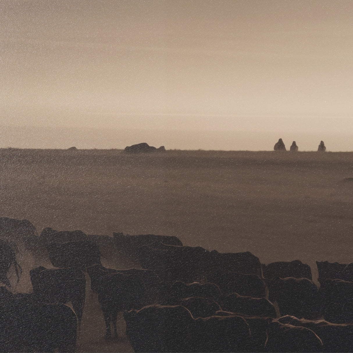 Golden Hour Cowboy Herd by Andreas Magnusson Textured FramedPhoto Print Matted under Glass from Mercana - Luna Furniture