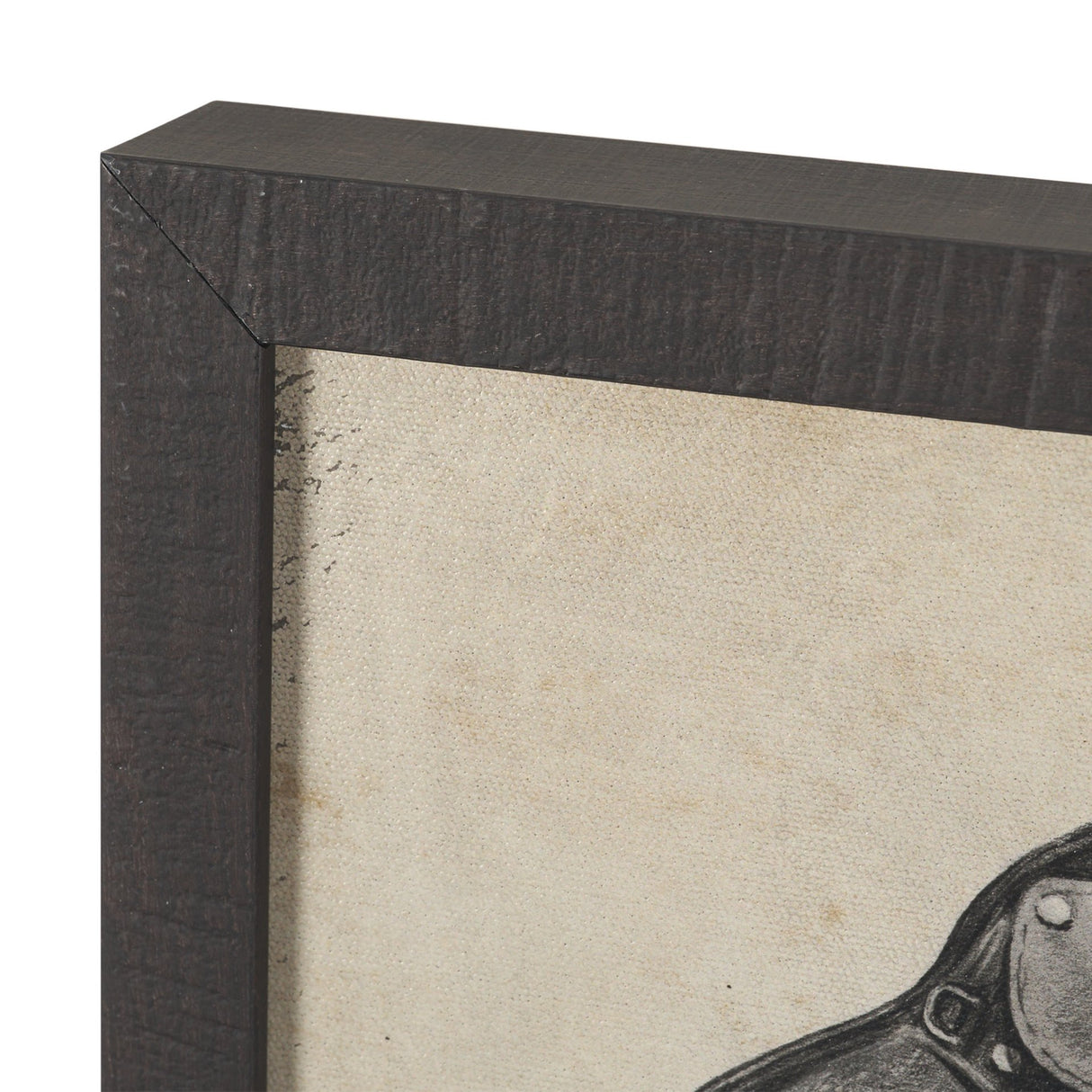 Equestrian Collection by Mercana Studio Textured Framed (Set of 6) from Mercana - Luna Furniture