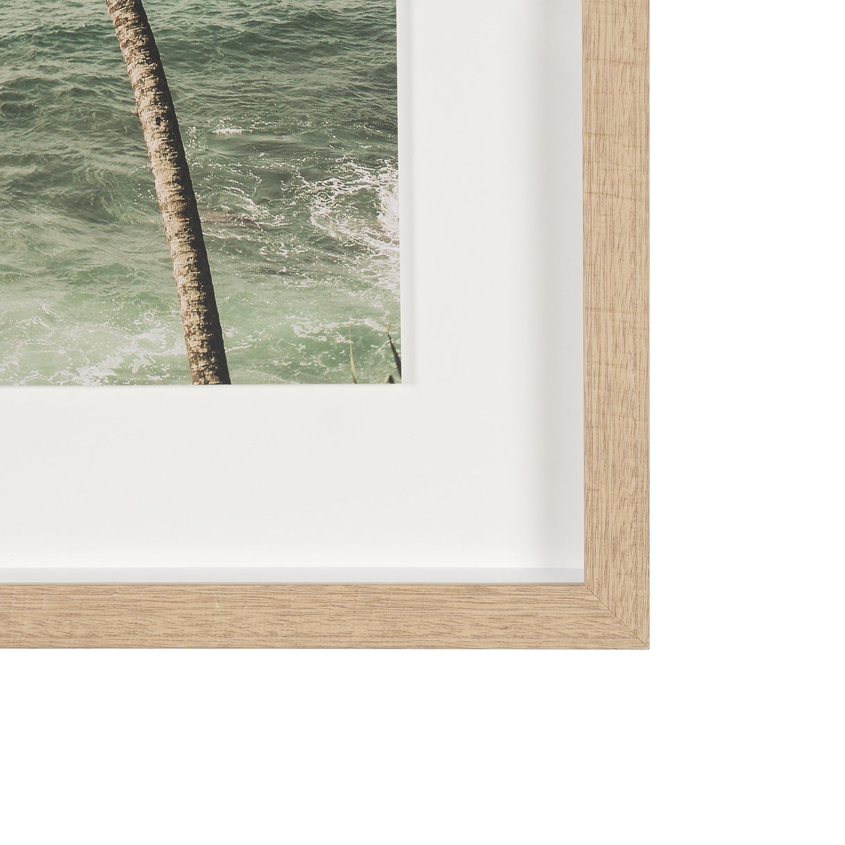 Oceanside Palms by Shot By Clint Framed Photo Print Matted under Glass from Mercana - Luna Furniture
