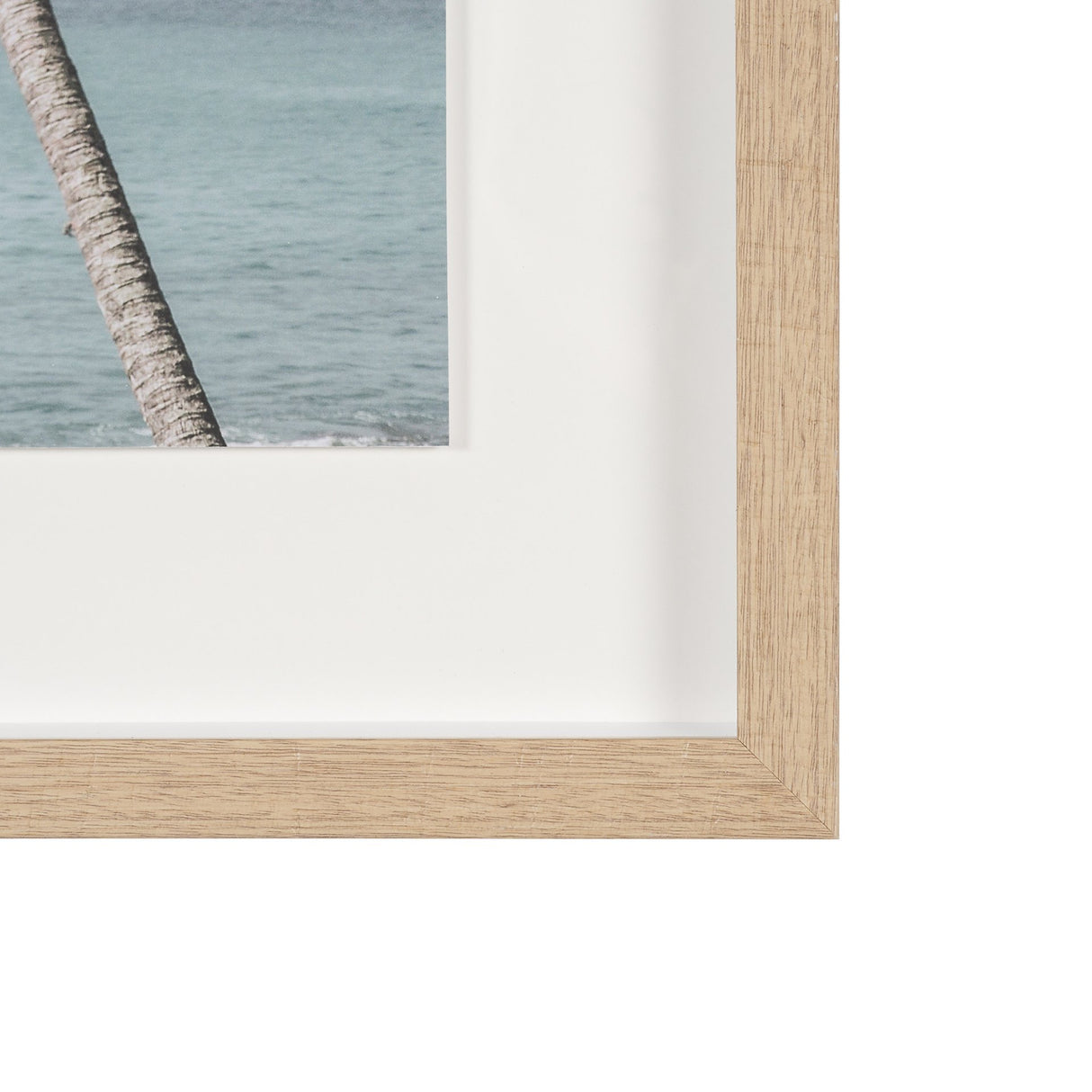 Ocean Breeze Palms by Shot By Clint Framed Photo Print Matted under Glass from Mercana - Luna Furniture
