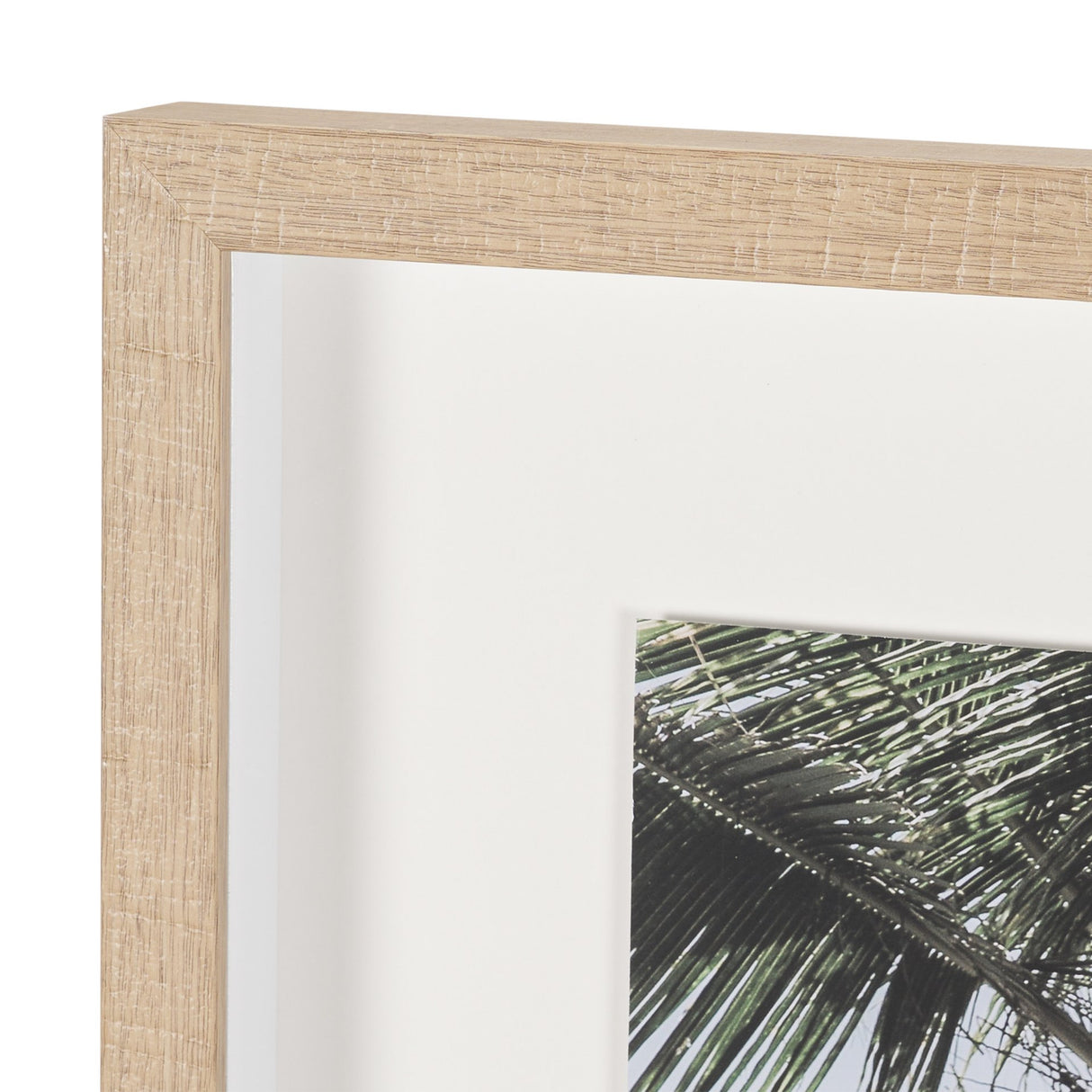 Ocean Breeze Palms by Shot By Clint Framed Photo Print Matted under Glass from Mercana - Luna Furniture