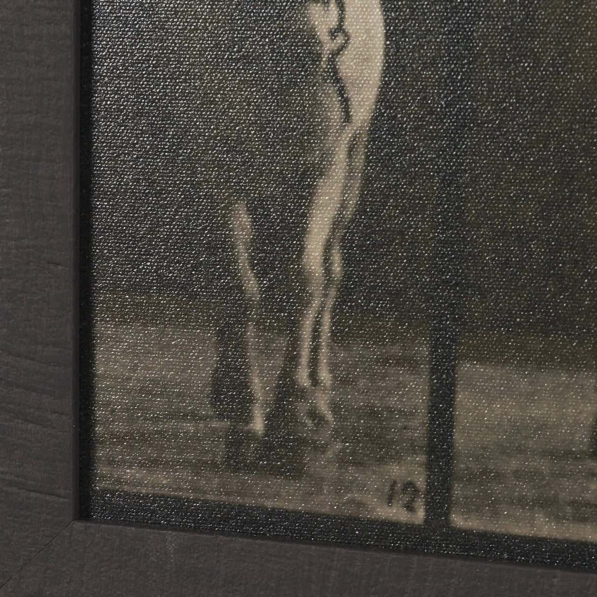 Walking Free by Eadweard Muybridge Textured Framed CanvasPhoto Print from Mercana - Luna Furniture