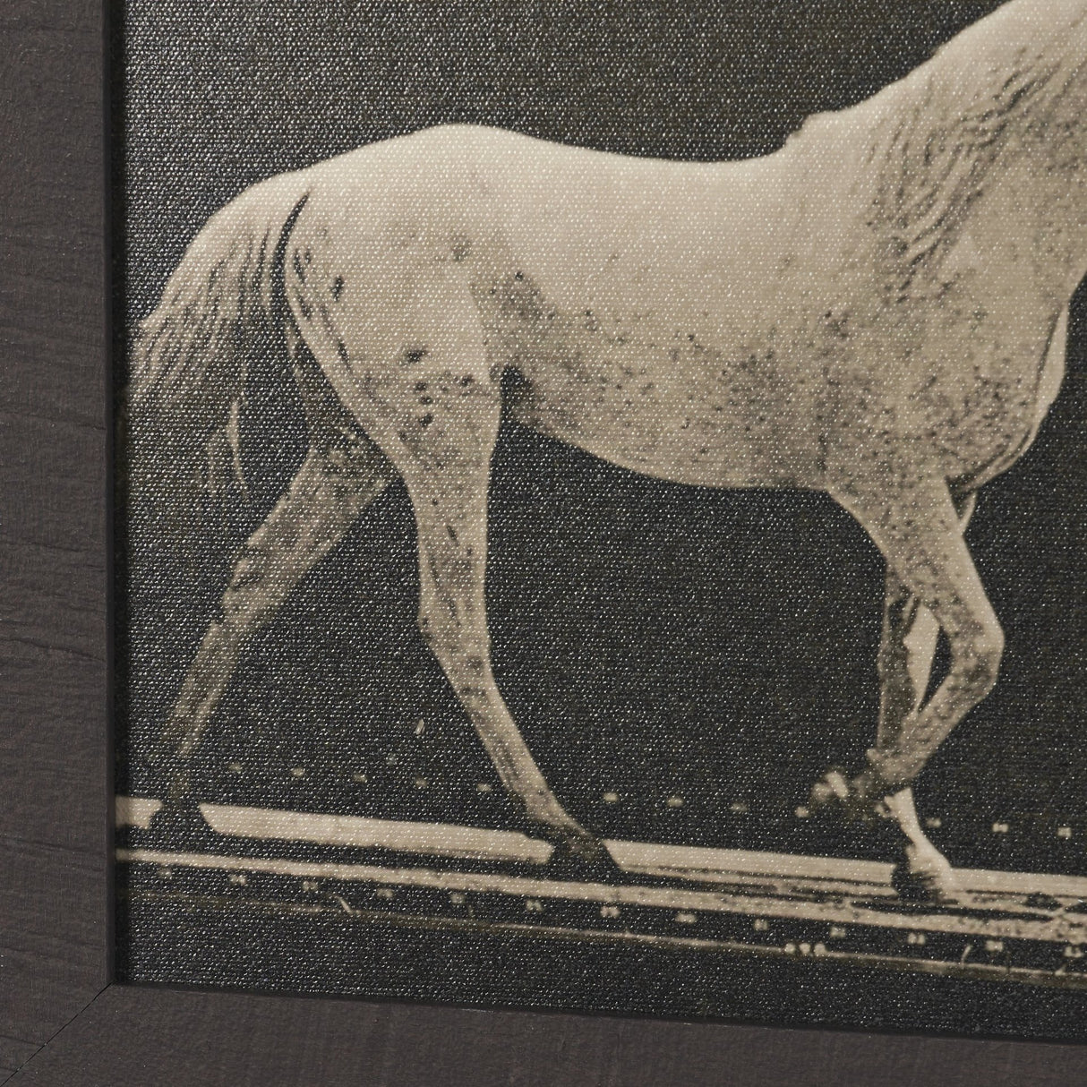 Walking Tall by Eadweard Muybridge Textured Framed CanvasPhoto Print from Mercana - Luna Furniture