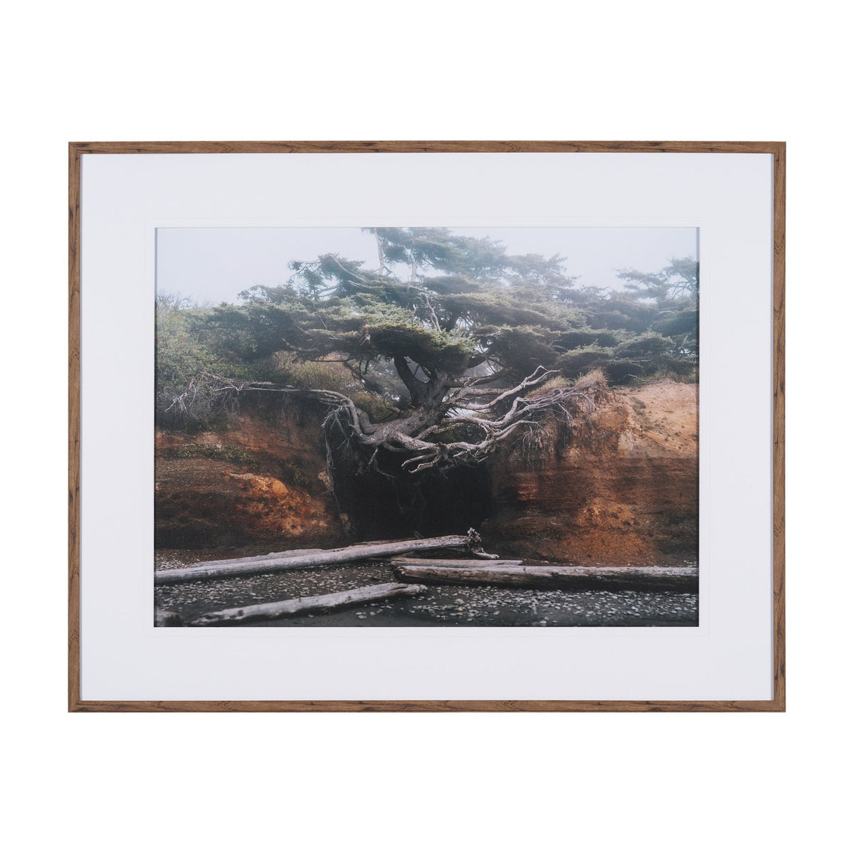Tree of Life by Stefan and Audrey Textured Framed Photo Print Matted under Glass from Mercana - Luna Furniture