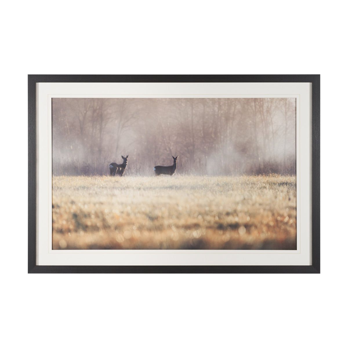 Distant Duo by Andreas Stridsberg Framed Photo Print Matted under Glass from Mercana - Luna Furniture