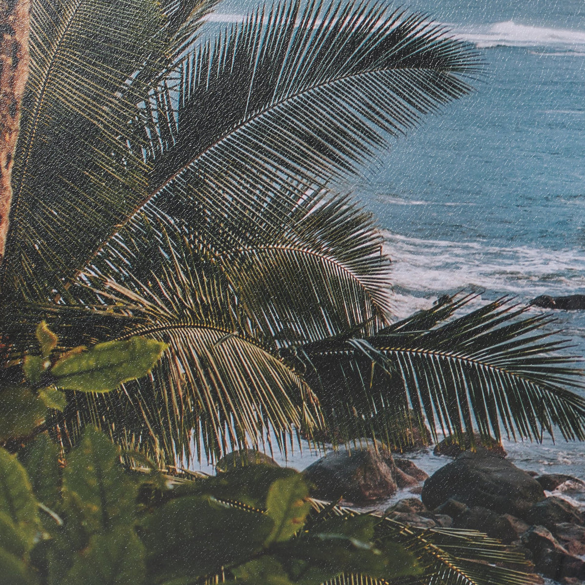 Kauai Jungle Dream by Stefan and Audrey Textured Framed Photo Print Matted under Glass from Mercana - Luna Furniture