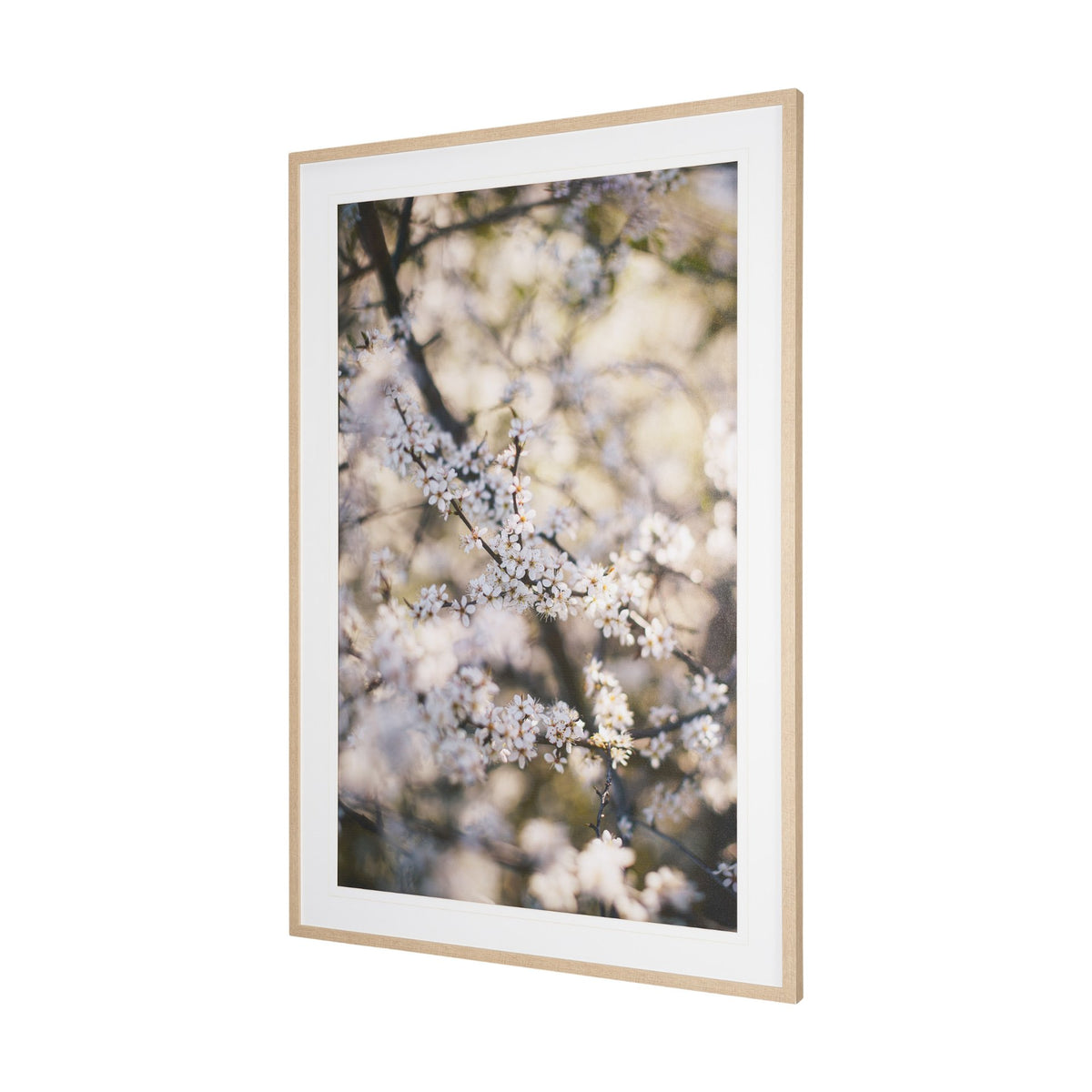 Wilde Prunus by Zaira Zarotti Textured Framed Photo Print Matted under Glass from Mercana - Luna Furniture