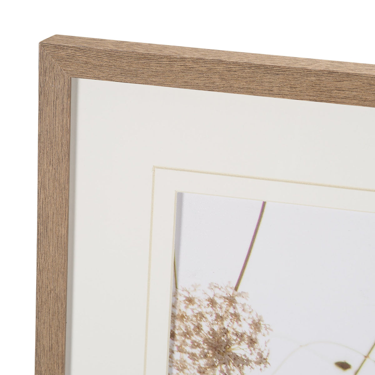 Wild Carrot Flowers by Zaira Zarotti Textured Framed Photo Print Matted under Glass from Mercana - Luna Furniture