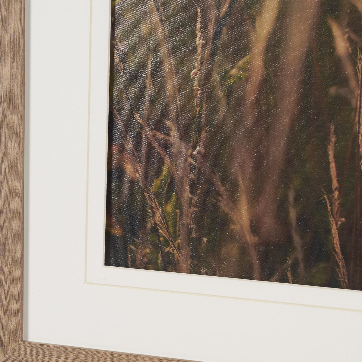 Wild Carrot Flowers by Zaira Zarotti Textured Framed Photo Print Matted under Glass from Mercana - Luna Furniture