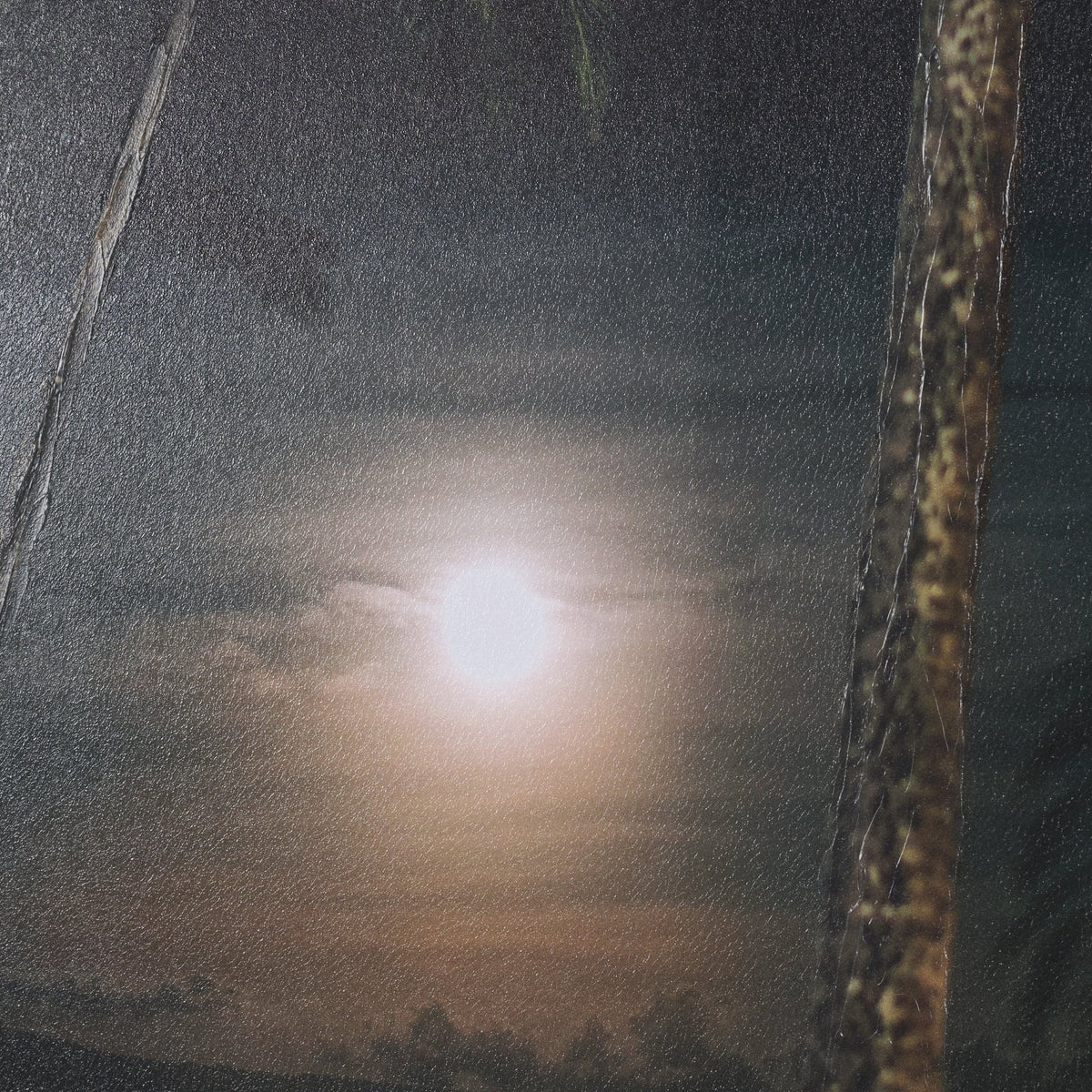 Maui Moonlight by Stefan and Audrey Hand-Embellished Textured Framed Photo Print Matted under Glass from Mercana - Luna Furniture