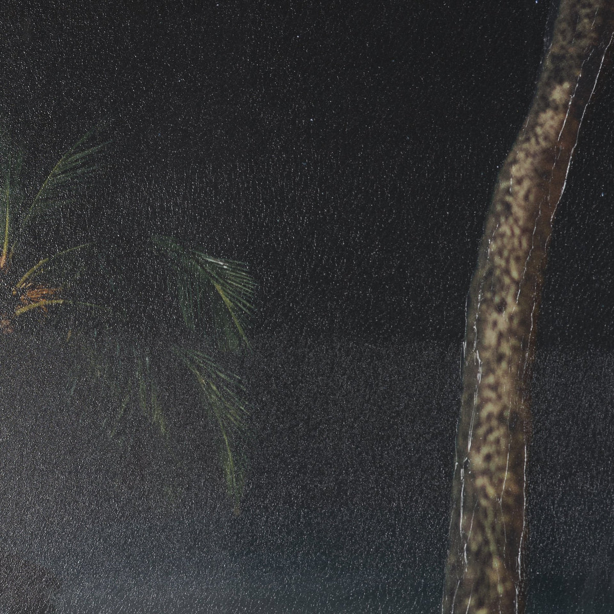 Maui Moonlight by Stefan and Audrey Hand-Embellished Textured Framed Photo Print Matted under Glass from Mercana - Luna Furniture