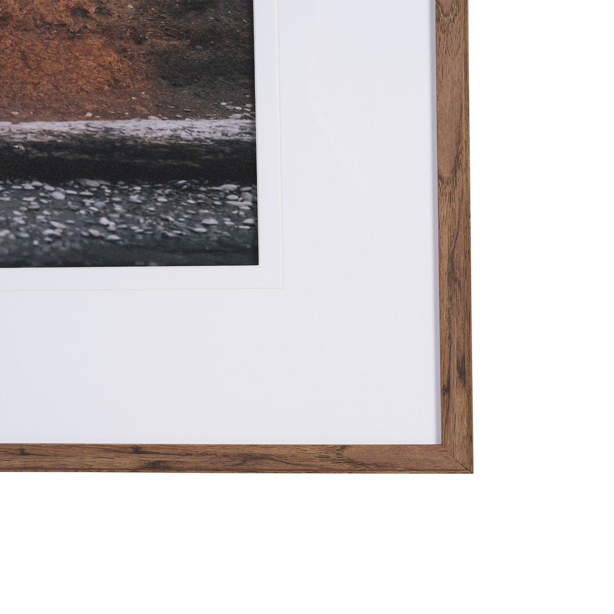 Tree of Life by Stefan and Audrey Textured Framed Photo Print Matted under Glass from Mercana - Luna Furniture