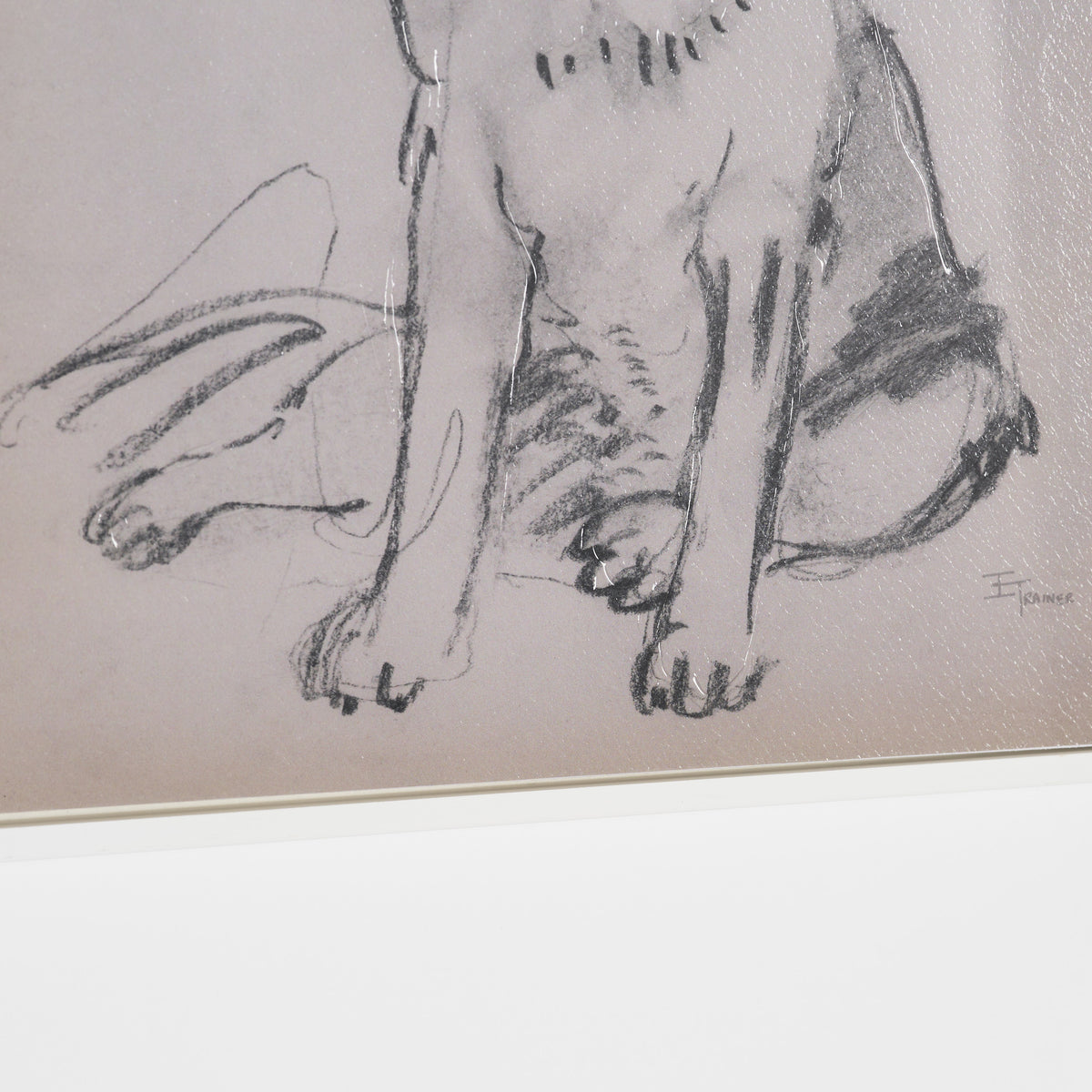 St. Bernard by Mercana Studio Hand-Embellished Framed Artwork Matted under Glass from Mercana - Luna Furniture