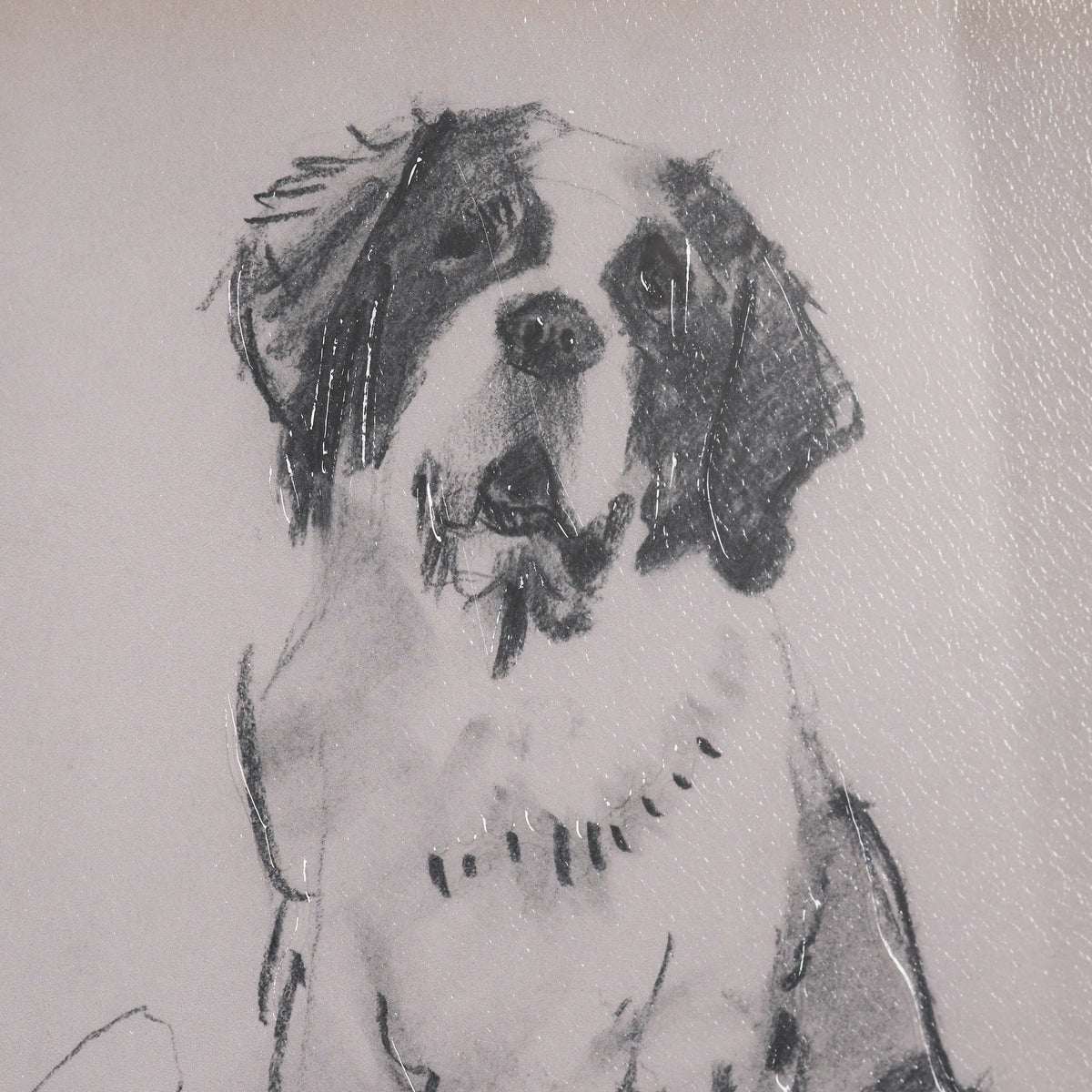 St. Bernard by Mercana Studio Hand-Embellished Framed Artwork Matted under Glass from Mercana - Luna Furniture