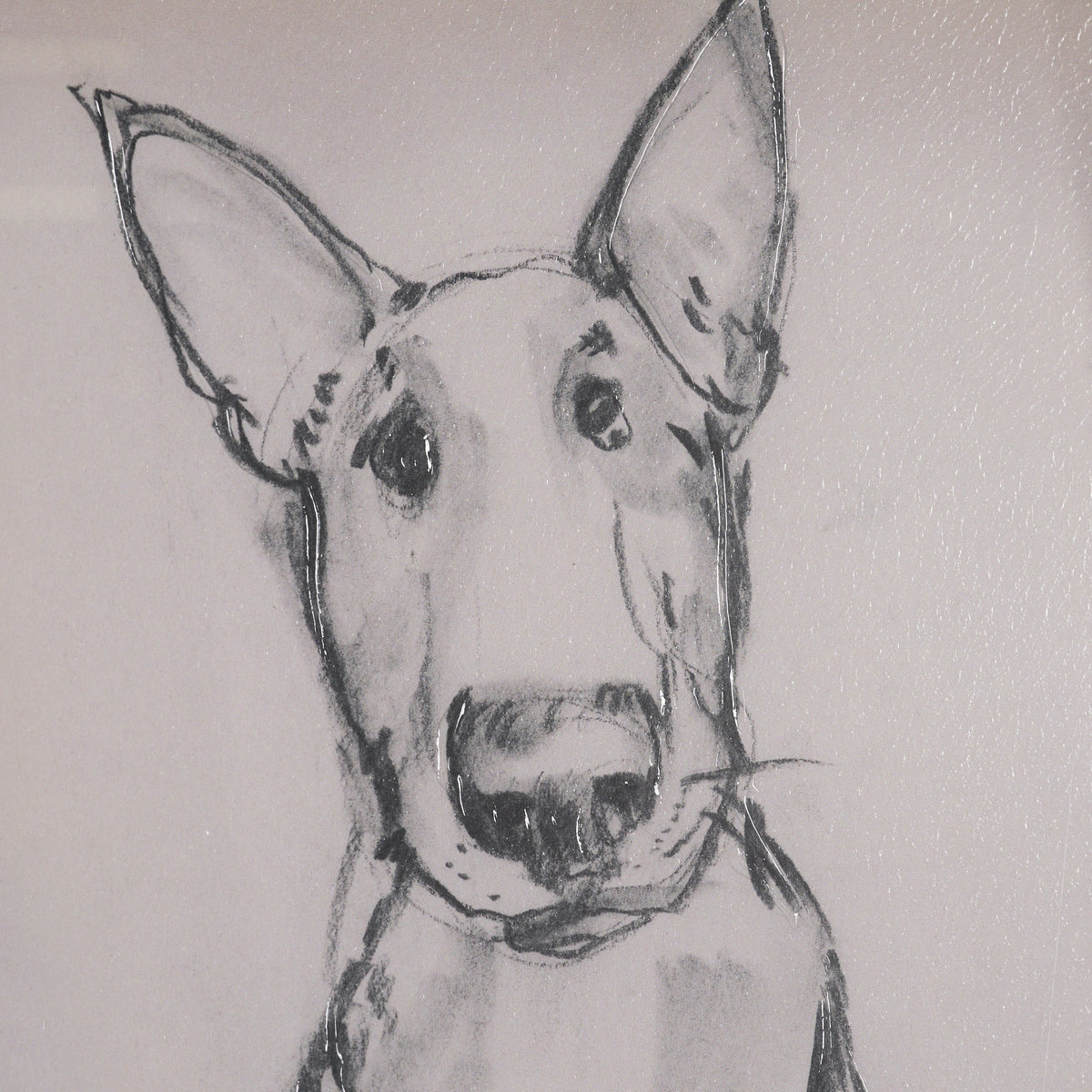 English Bull Terrier by Mercana Studio Hand-Embellished Framed Artwork Matted under Glass from Mercana - Luna Furniture