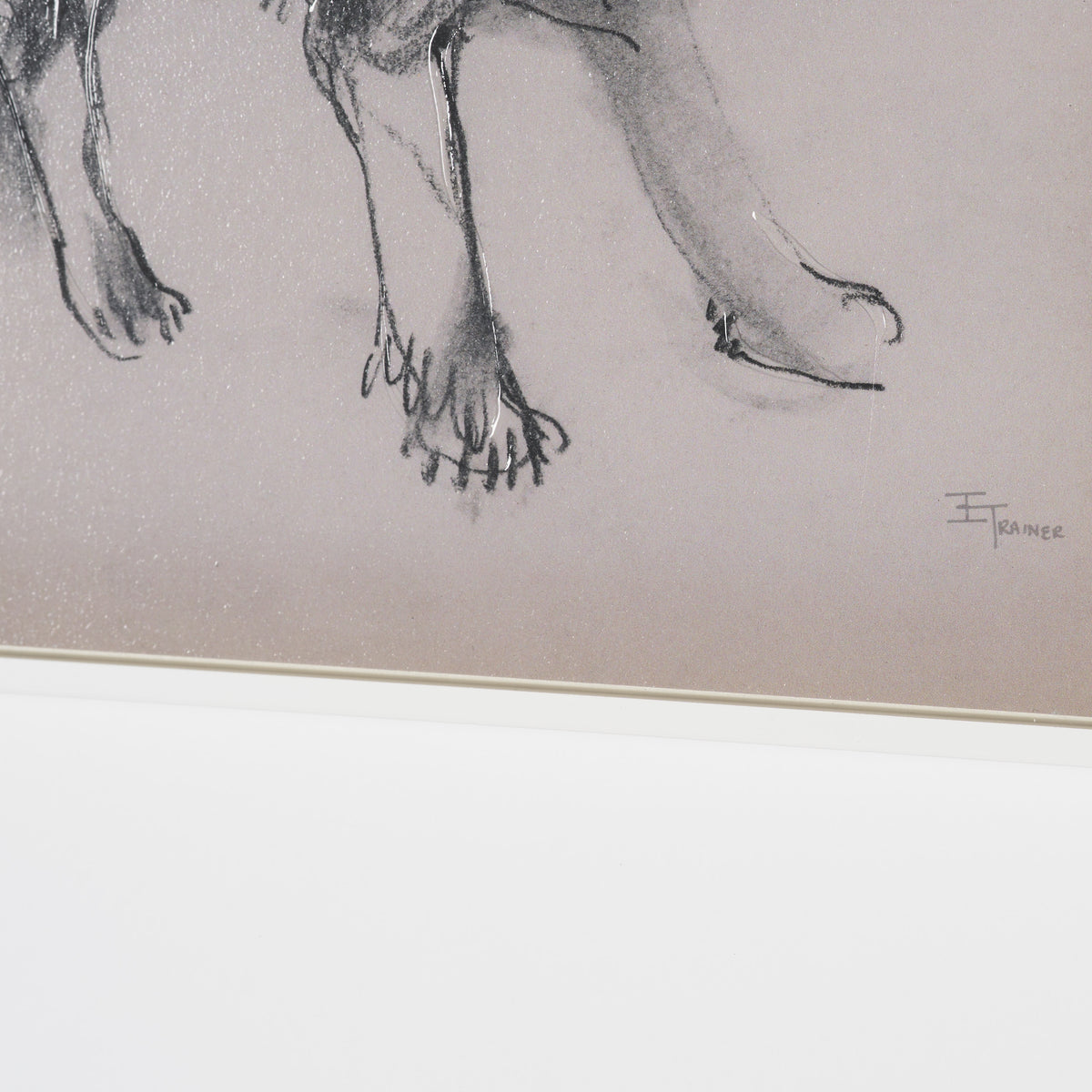 Border Collie by Mercana Studio Hand-Embellished Framed Artwork Matted under Glass