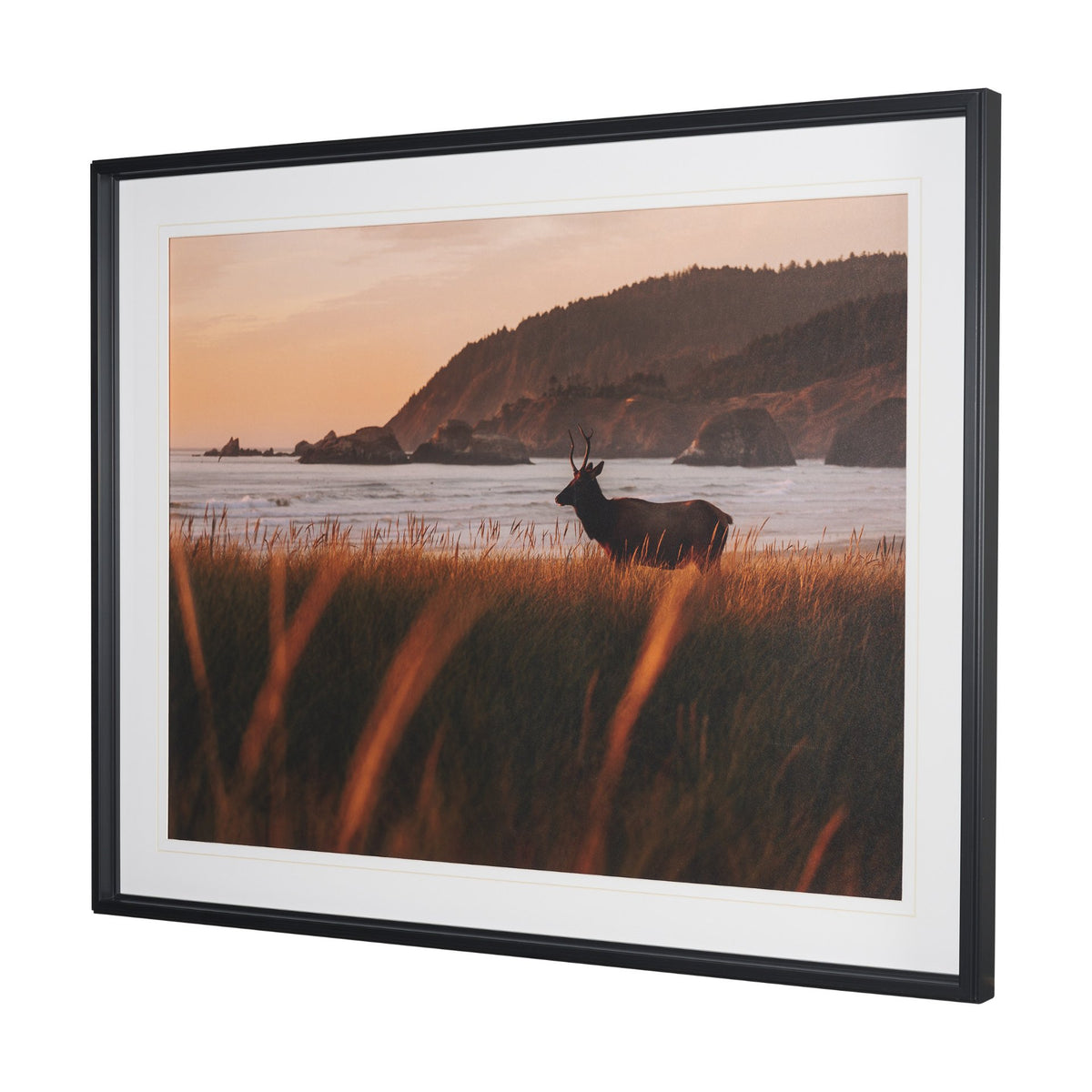 Cannon Beach Elk by Stefan and Audrey Textured Framed Photo Print Matted under Glass