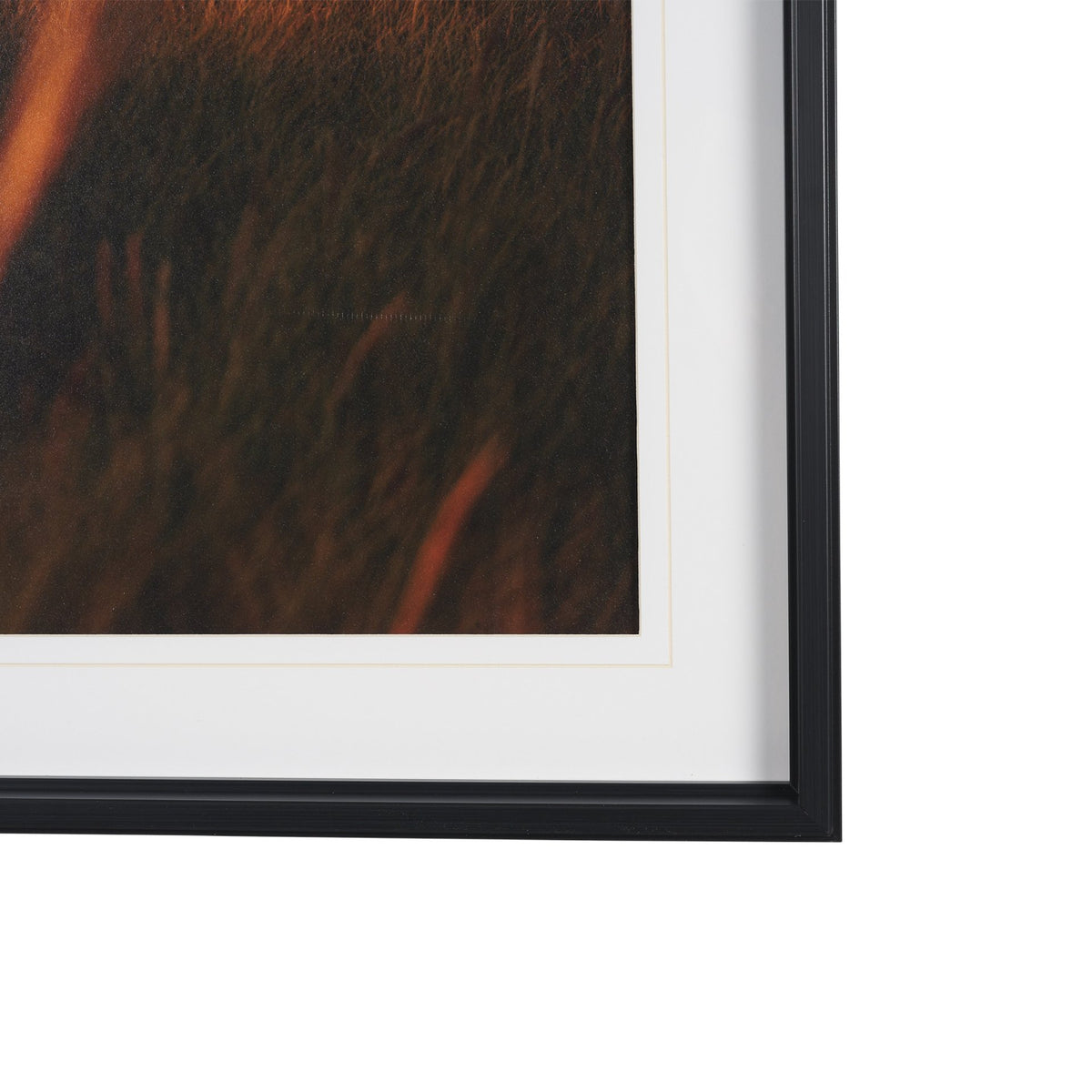 Cannon Beach Elk by Stefan and Audrey Textured Framed Photo Print Matted under Glass