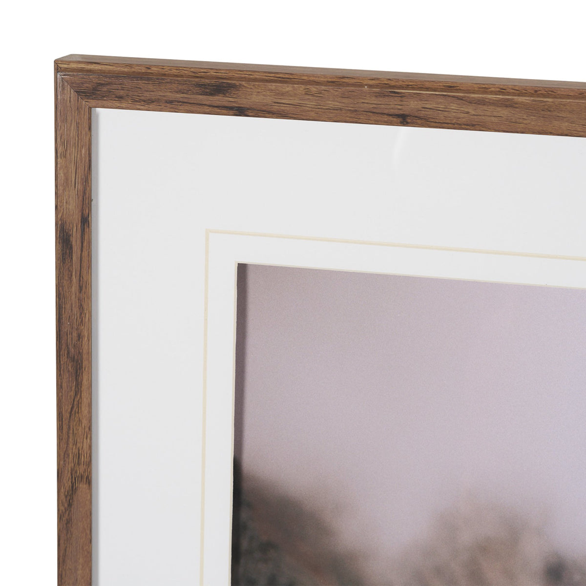 Icelandic Horse by Stefan and Audrey Framed Photo Print Matted under Glass