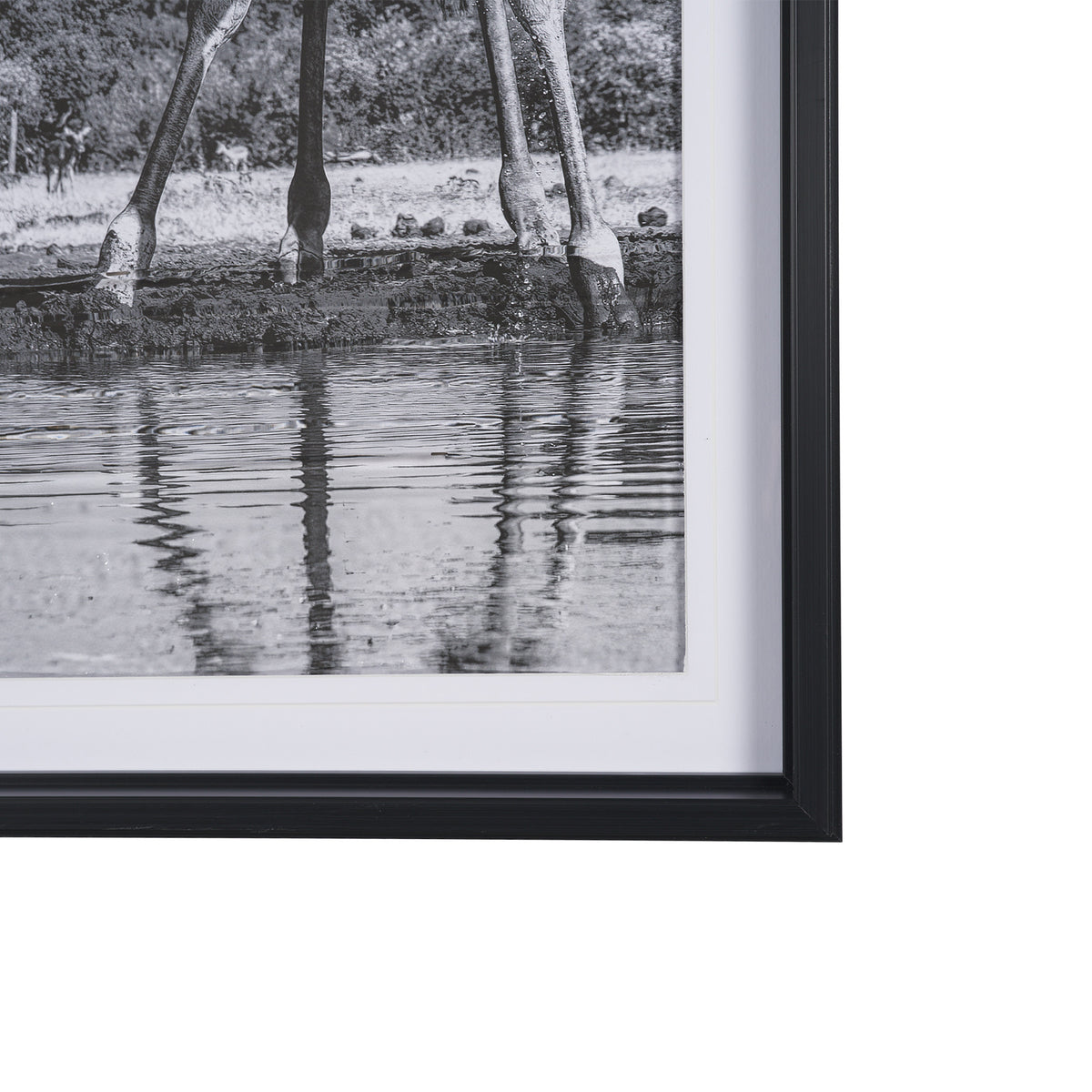 Thirsty Savanna Giraffes(Set of 2) by Jun Zuo Hand-Embellished Framed Photo Print Matted under Glass from Mercana - Luna Furniture