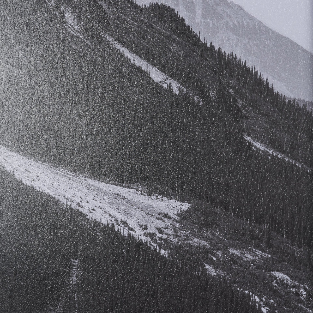 Mountain Mamma BW by Nathan Larson Textured Framed Photo Print Matted under Glass from Mercana - Luna Furniture