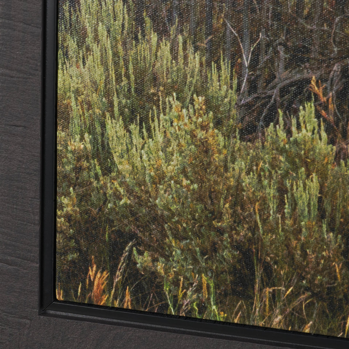 Rebirth by Nathan Larson Textured Framed Canvas Artwork (Set of 3) from Mercana - Luna Furniture