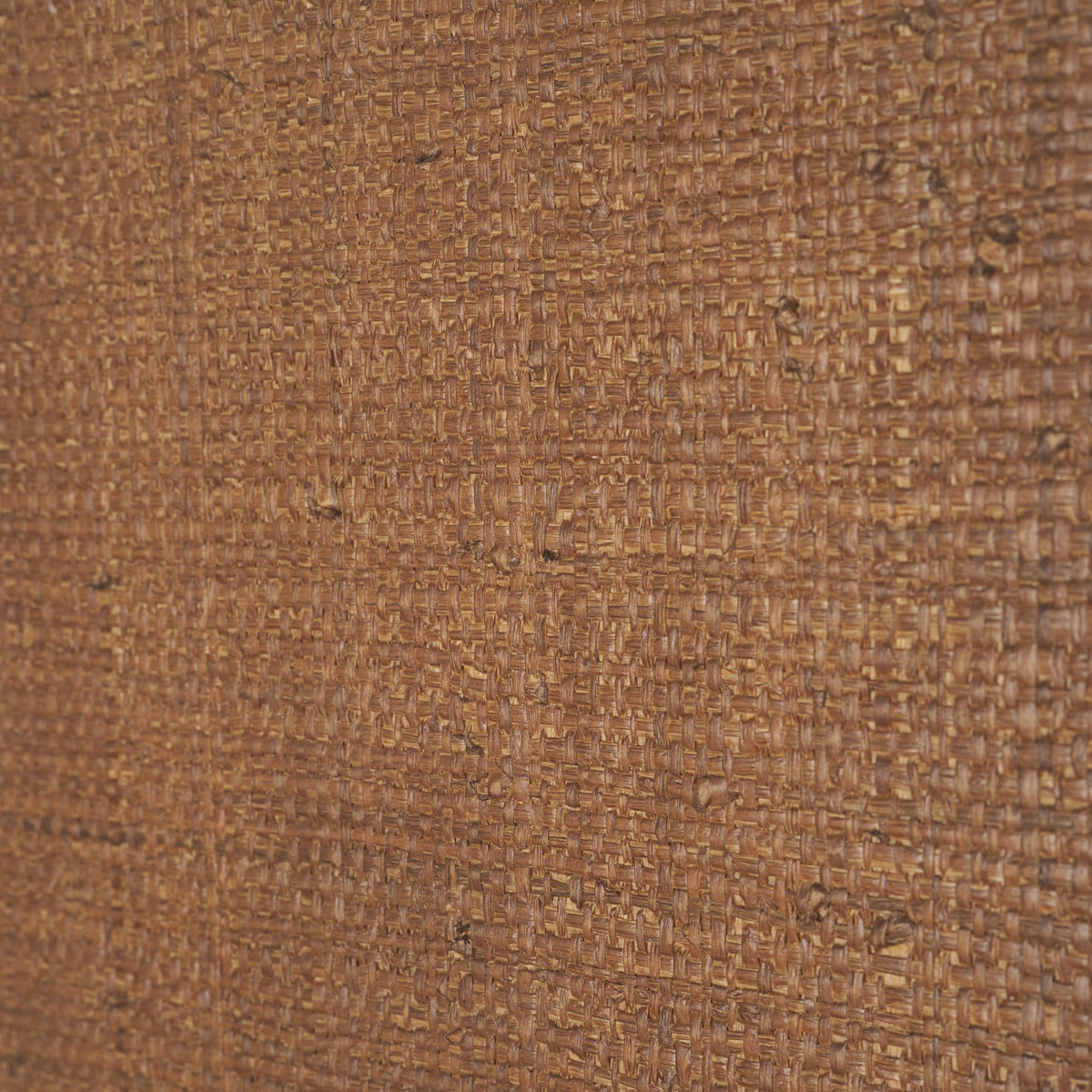 Carmel 2-Door Tall Cabinet | 78" | Raffia w/ Brown Wood from Mercana - Luna Furniture