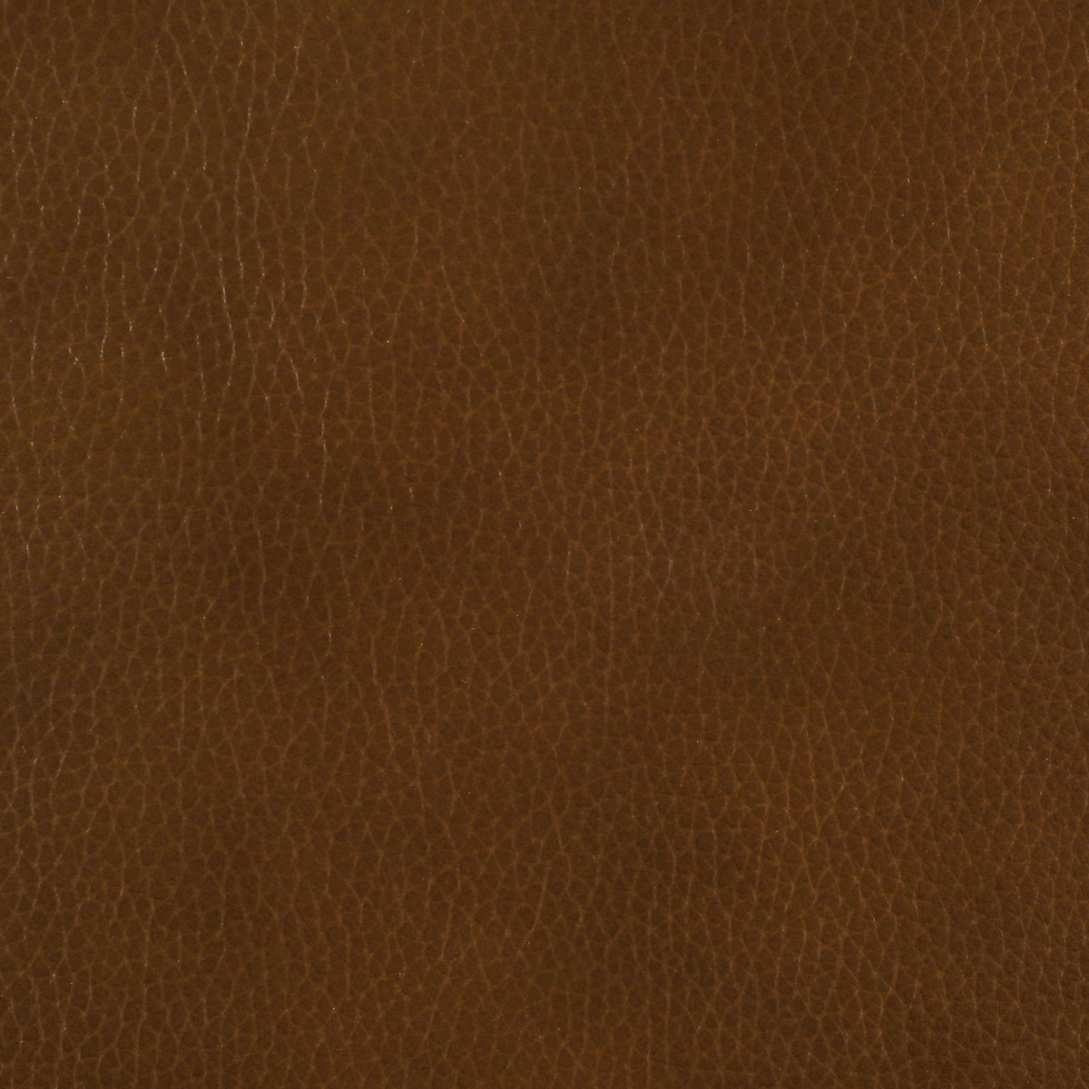 Vardon Dark Brown Genuine Leather Bar Stool, Set of 2 from Coaster - Luna Furniture