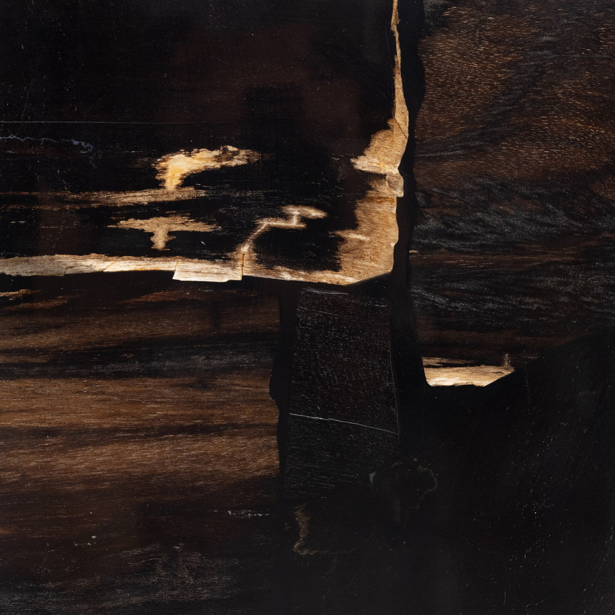 Shep End Table in Dark Petrified Wood from Four Hands - Luna Furniture