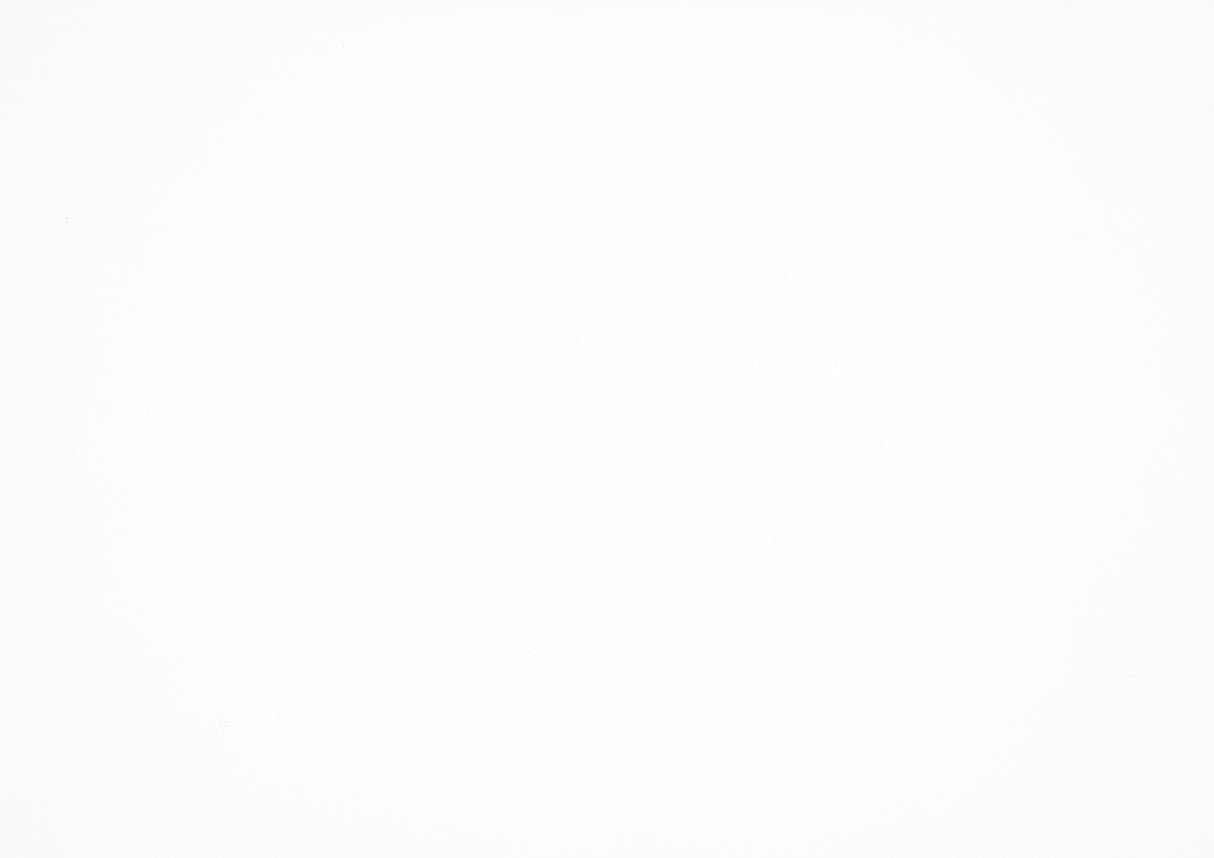 Linea Pearl White Mirror from Homelegance - Luna Furniture