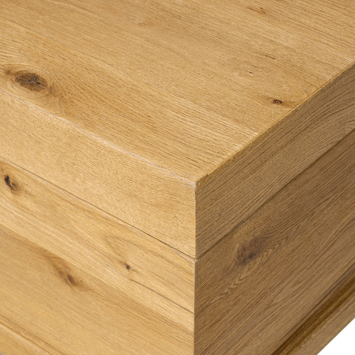 Alister Trunk in Light Toasted Oak from Four Hands - Luna Furniture