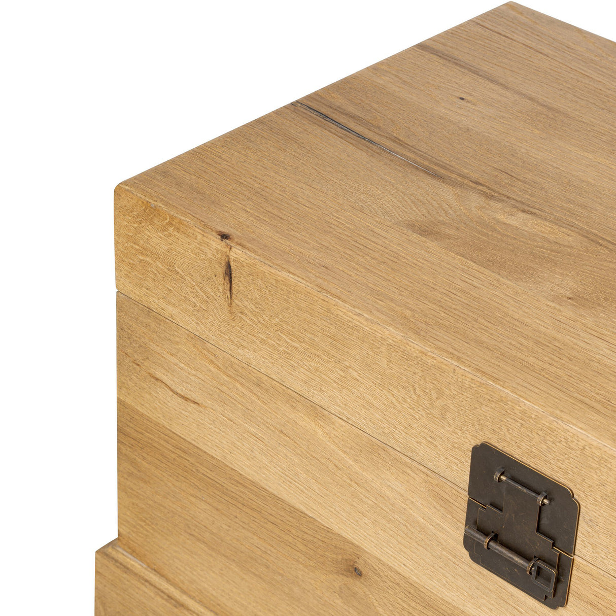 Alister Trunk in Light Toasted Oak from Four Hands - Luna Furniture