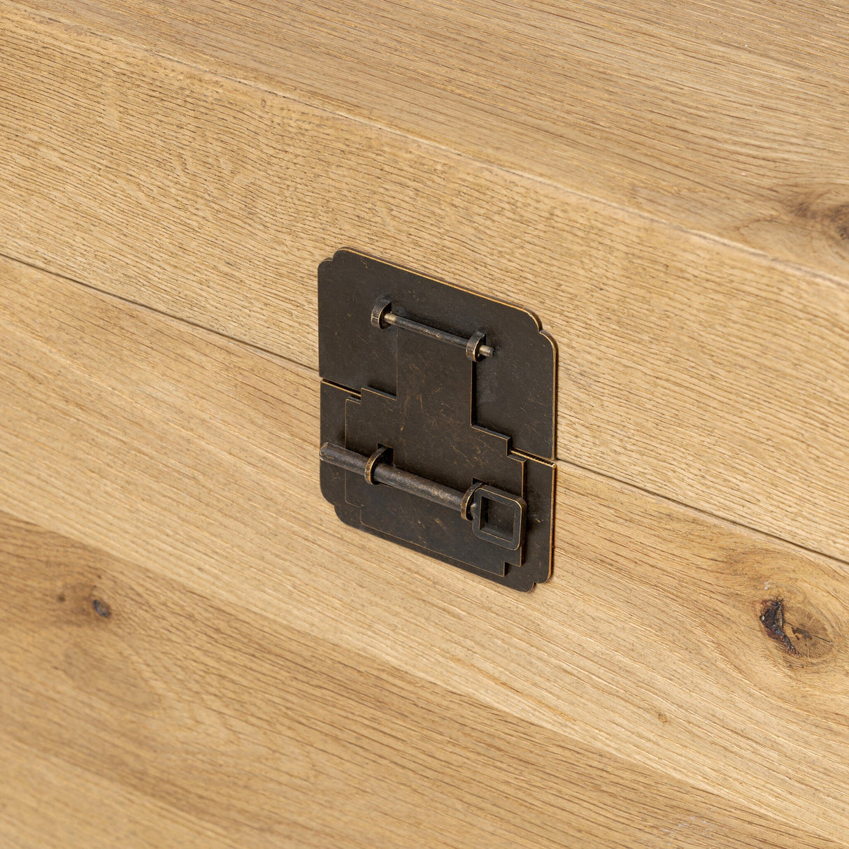 Alister Trunk in Light Toasted Oak from Four Hands - Luna Furniture